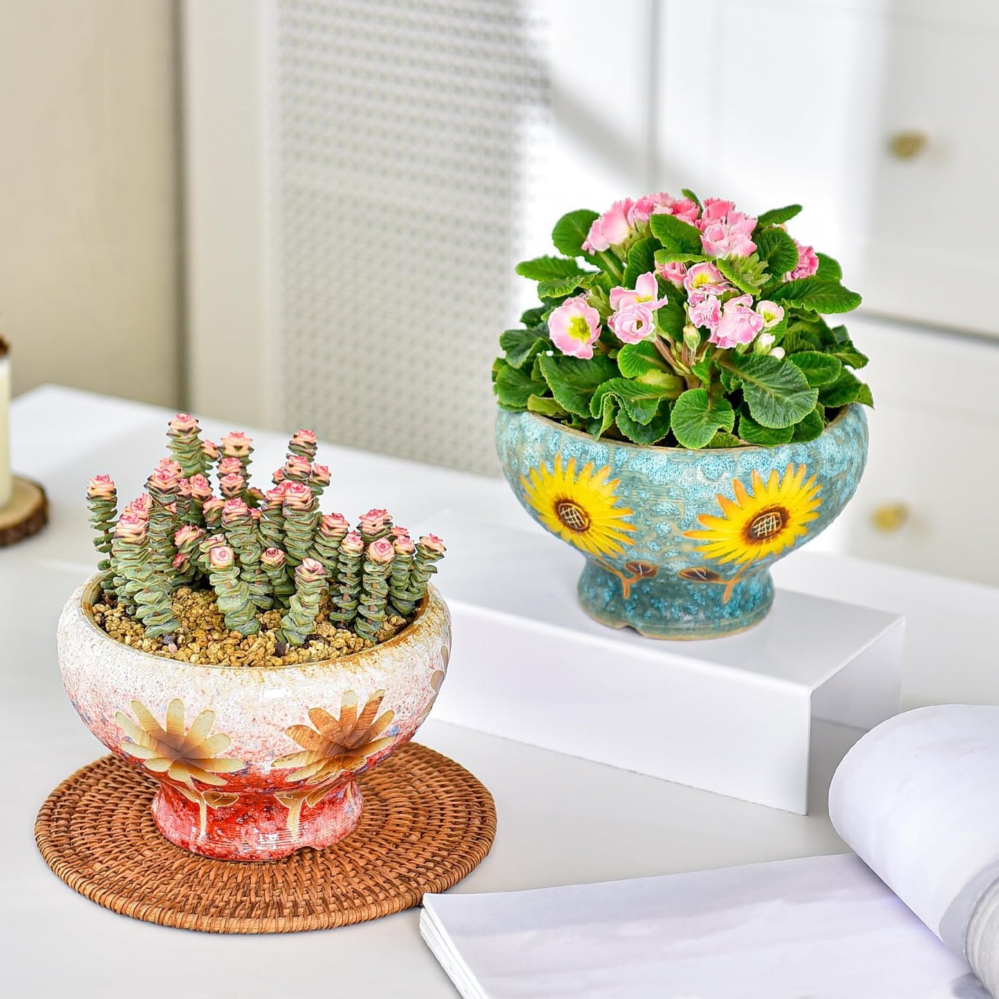 Sungmor Small Succulent Planters Set of 2, Beautiful Hand Crafted Ceramic Plant Pots Cute Cactus Pot, 6.5 Inch Flower Pots for Indoor Plants with Drainage, Desktop Windowsill Home Office Decor Pots