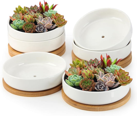 ZOUTOG Succulent Pots,6 Inch Succulent Planters with Drainage and Tray,White Ceramic Planters for Indoor Plants,Round Shallow Flower Plant Pots,6 Pack