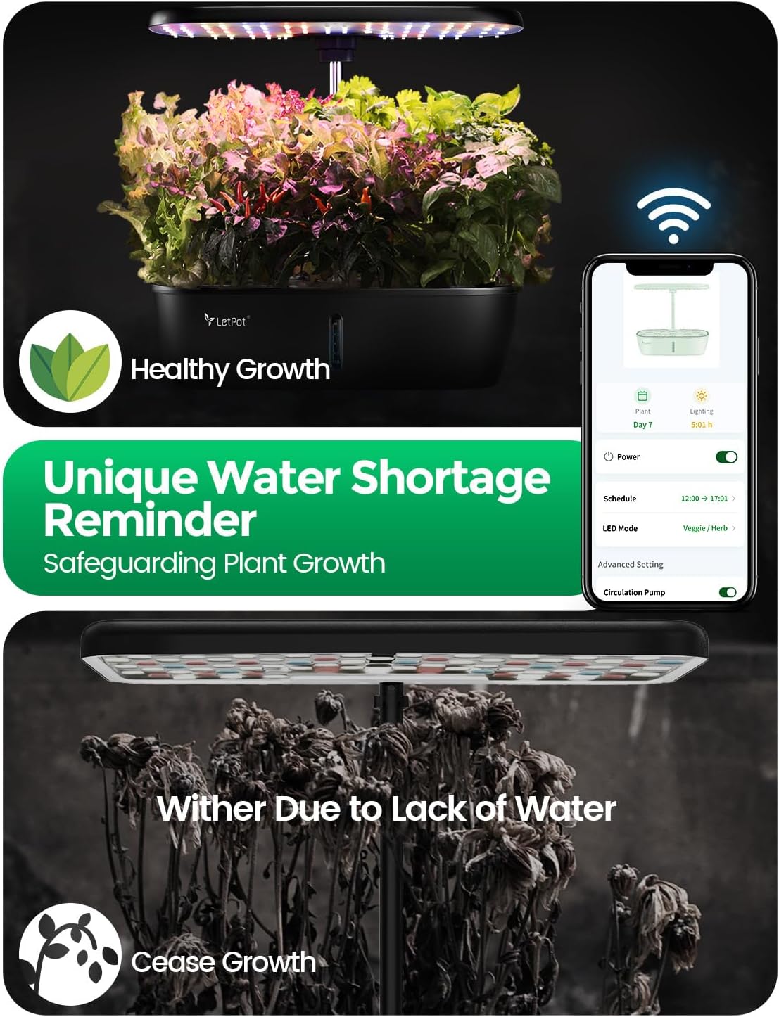 LETPOT LPH-Lite Hydroponics Growing System, 12 Pods Smart Herb Garden Kit Indoor, Indoor Garden, APP & WiFi Controlled, with 24W Growing LED, 5.5L Water Tank, Pump System, Automatic Timer