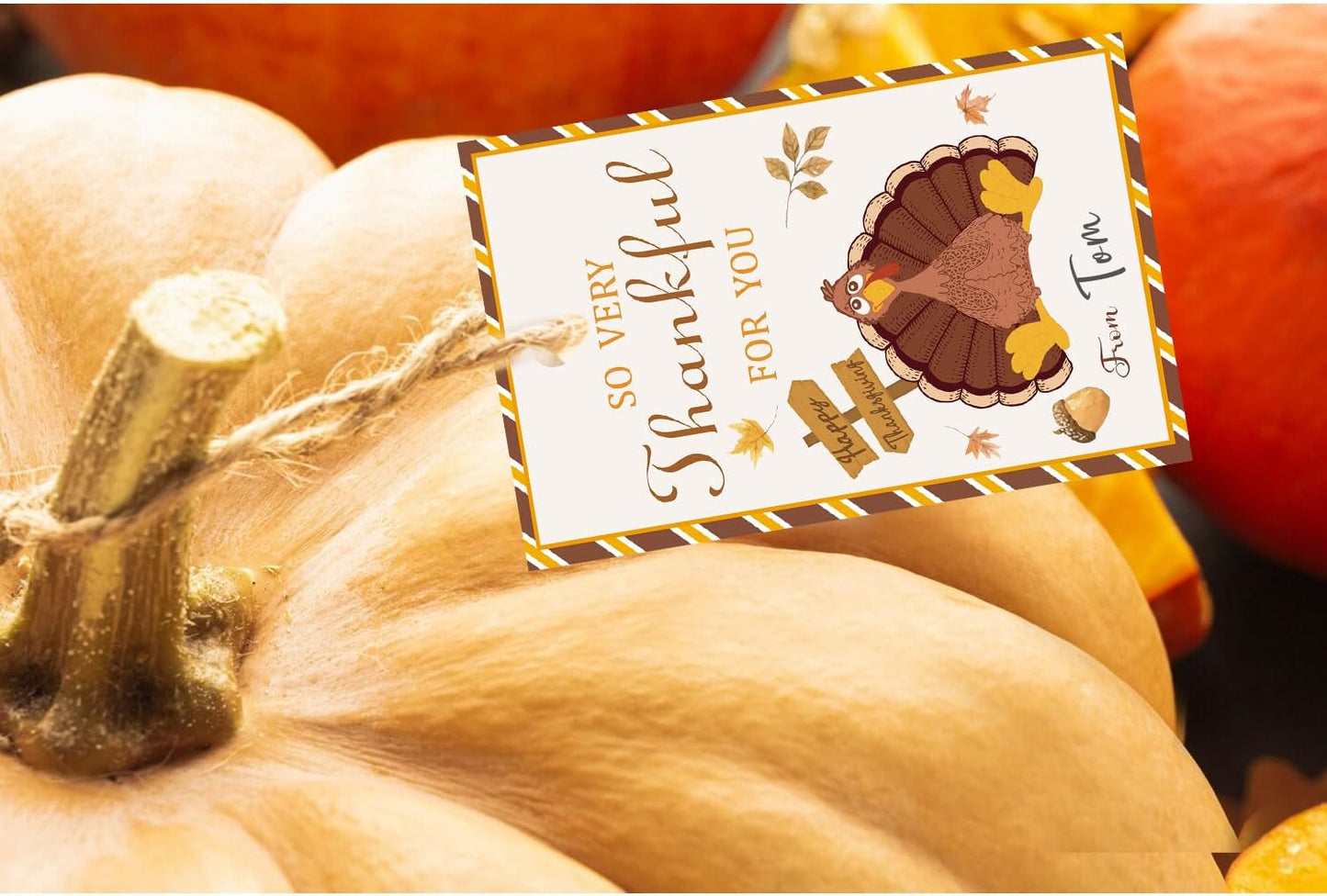 50pcs Thanksgiving Thank You Gift Tags, Turkey Theme Gift Tags for Friendsgiving Party Favor and Gift Wrapping Decoration(Turkey)