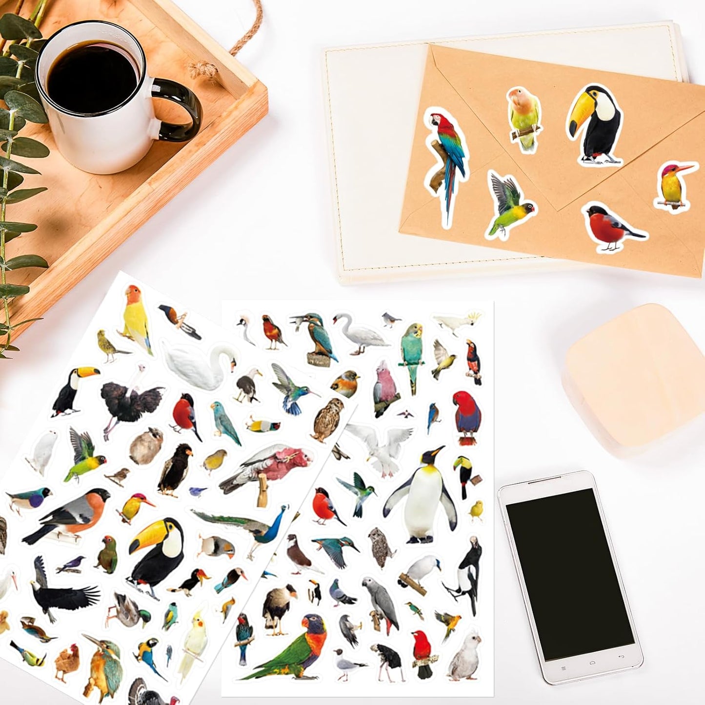 Bird Stickers 850 Count Tropical Bird Parrot Flamingo Peacock Hummingbirds Stickers Animal Party Favors Gifts Sticky Decor for Scrapbook Calendar Planner Gift Wrap Decor