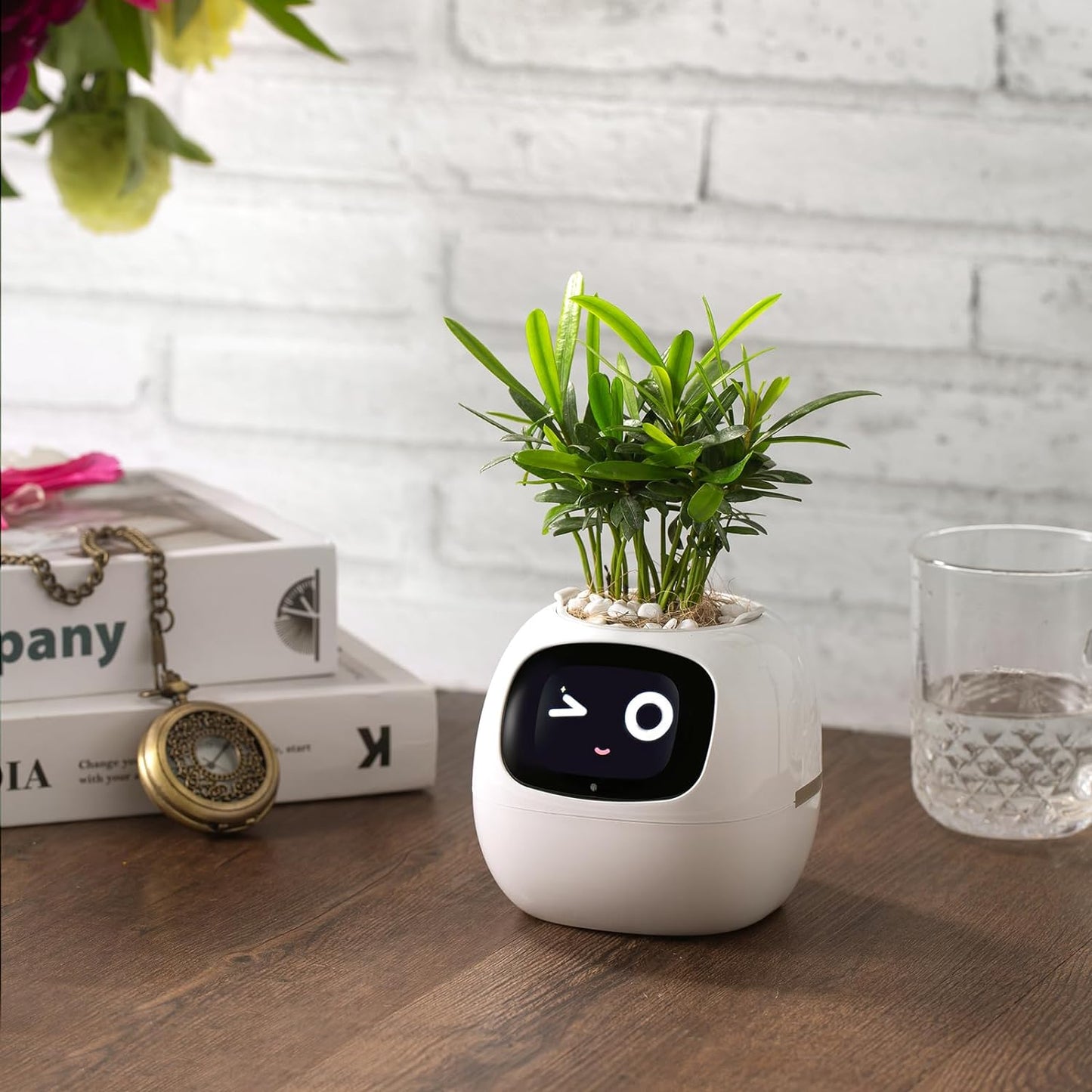Smart pet Planter Robot Guidance on Plant Care with Emojis, Adorable Plant Companion with Rich Gesture Interaction, Neat Desk Setup Gift (White)