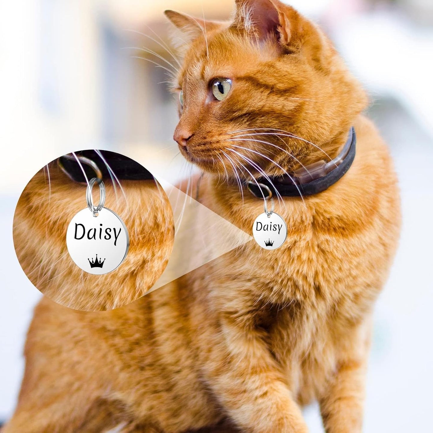 YEHANTI Dog Tags Engraved for Pets Personalized, Custom Stainless Steel Dog Tags and Cat Tags with Various Cute and Beautiful Icons, Double Sided Engraved Pet ID Tags Dog Name Tag, Round