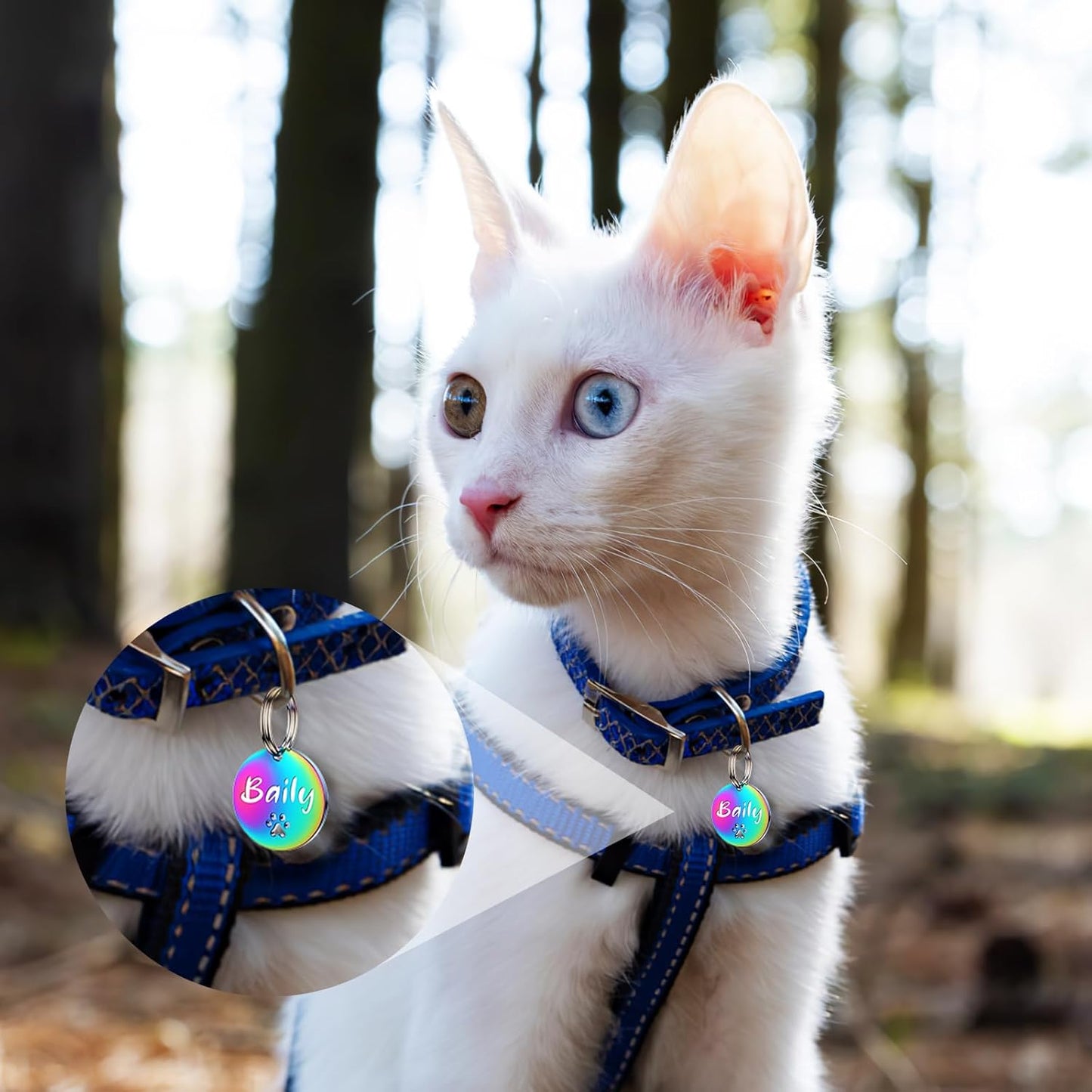 Dog Tags Personalized for Pets - YEHANTI Personalized Dog Tags with Dog Paw, Durable Stainless Steel Pet ID Tags for Small Large Dogs Cats, Custom Dog Name Tags Engraved on Both Sides (Round)