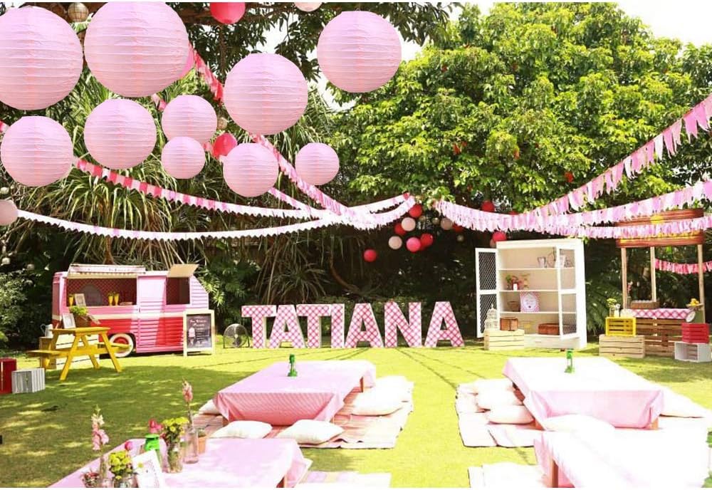 BEISHIDA 6-Inch Pink Round Paper Lanterns Hanging Decorative Chinese Paper Lanterns Lamp for Valentine Birthday Wedding Party Decoration and Baby Bridal Shower（6 Packs）