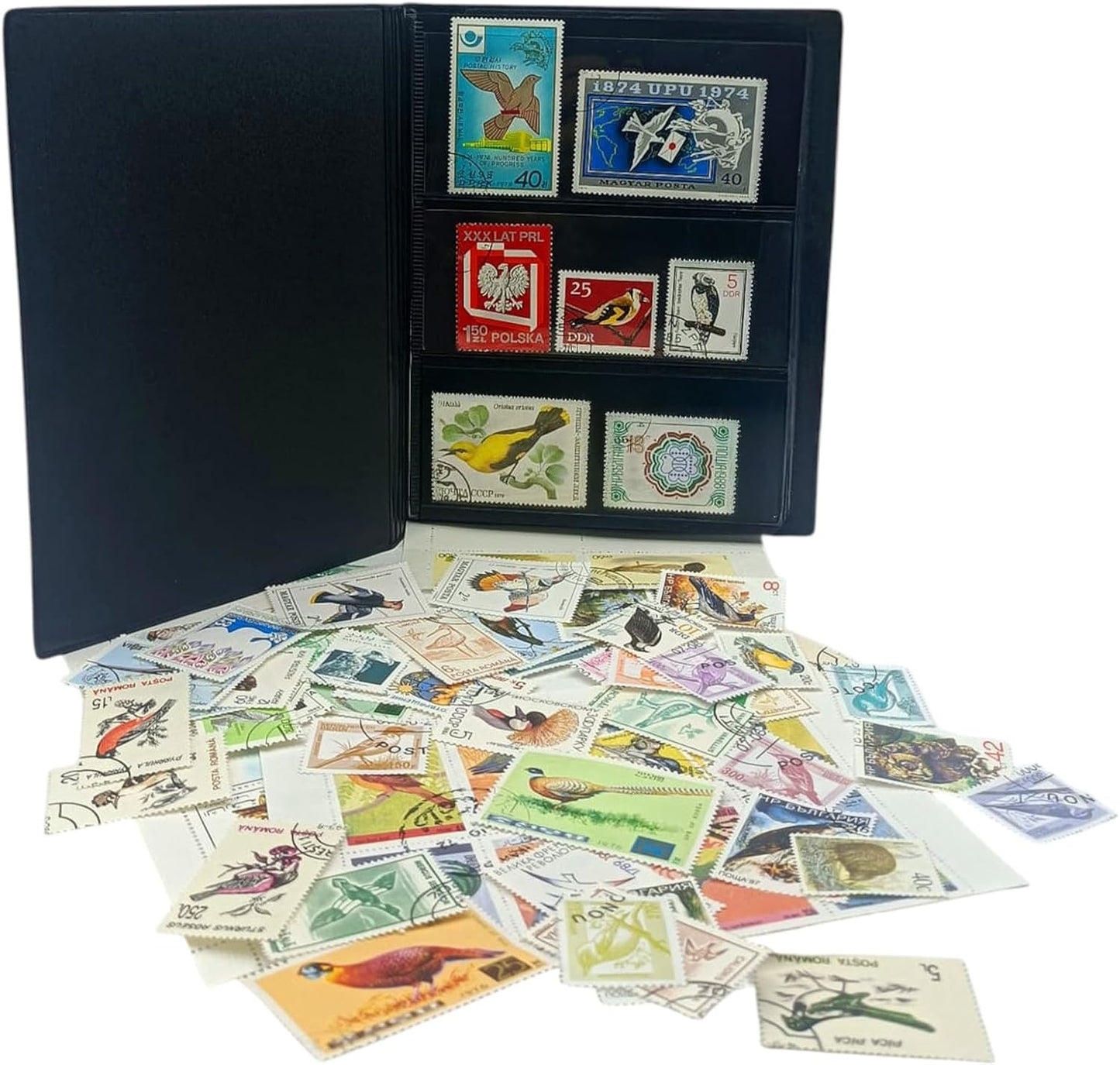 IMPACTO COLECCIONABLES – 100 Bird-Themed Stamps Collection with Included Album (5.5 x 7 x 0.4 in) | Enhance your philatelic collection with authentic postmarked stamps in a compact and elegant album
