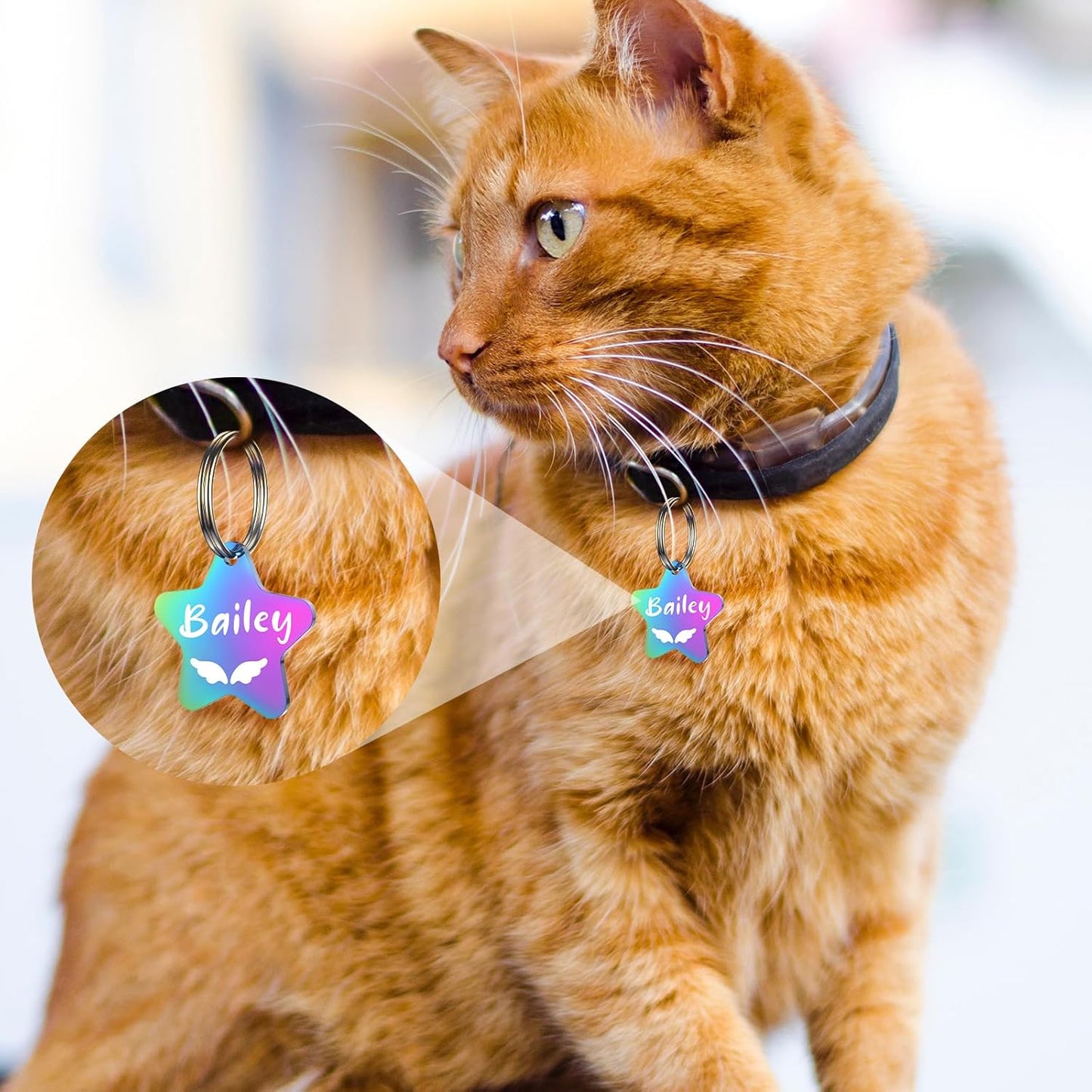 Dog Tags Engraved for Pets - YEHANTI Personalized Dog Tags with Lovely Icons, Durable Stainless Steel Pet ID Tags for Small Large Dogs Cats, Custom Dog Name Tags Engraved on Both Sides (Star)