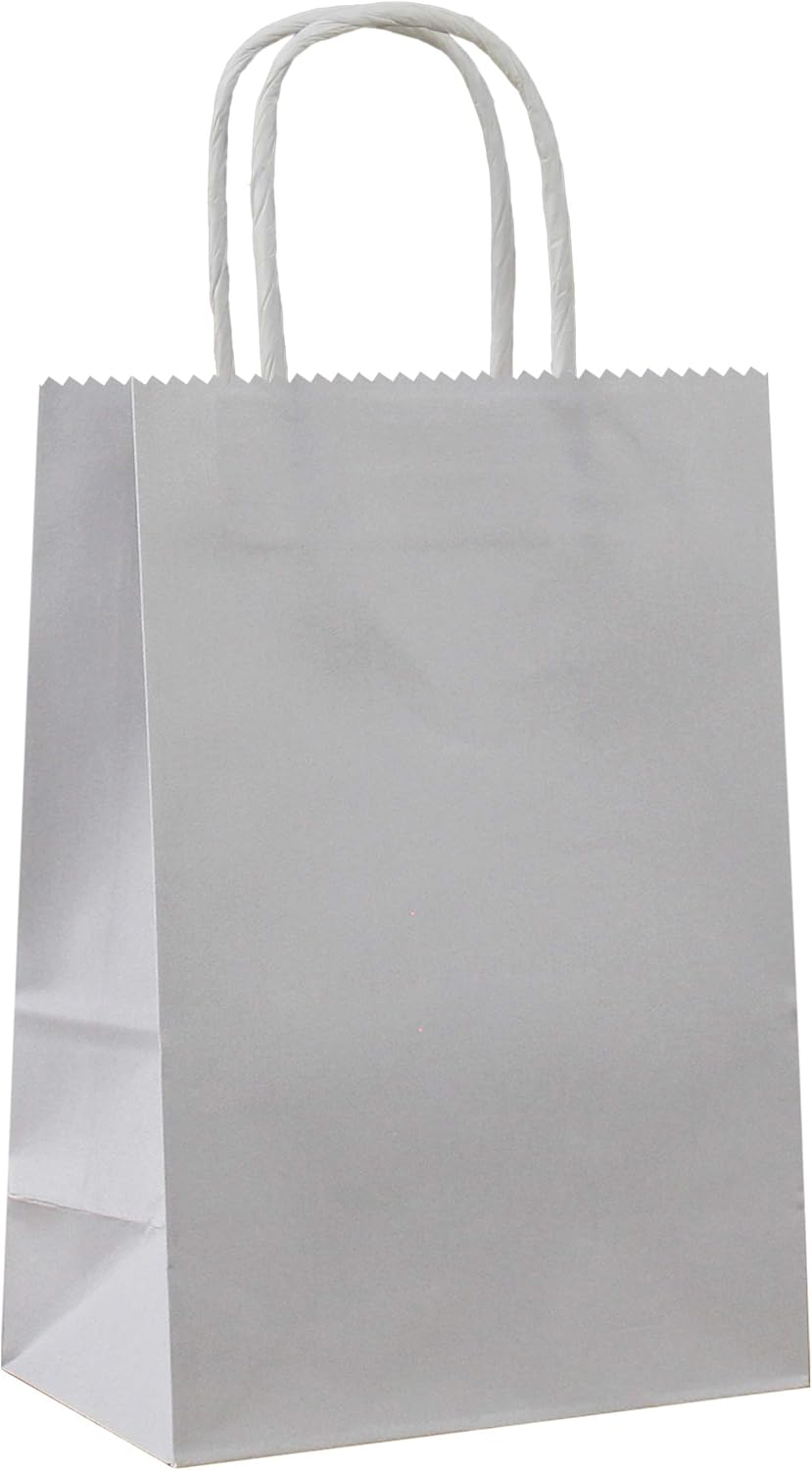25 PCS Small Gift Bags Flat Gray Kraft Paper Bags with Handles for Party Favor (8.2 x 6 x 3.1 In)