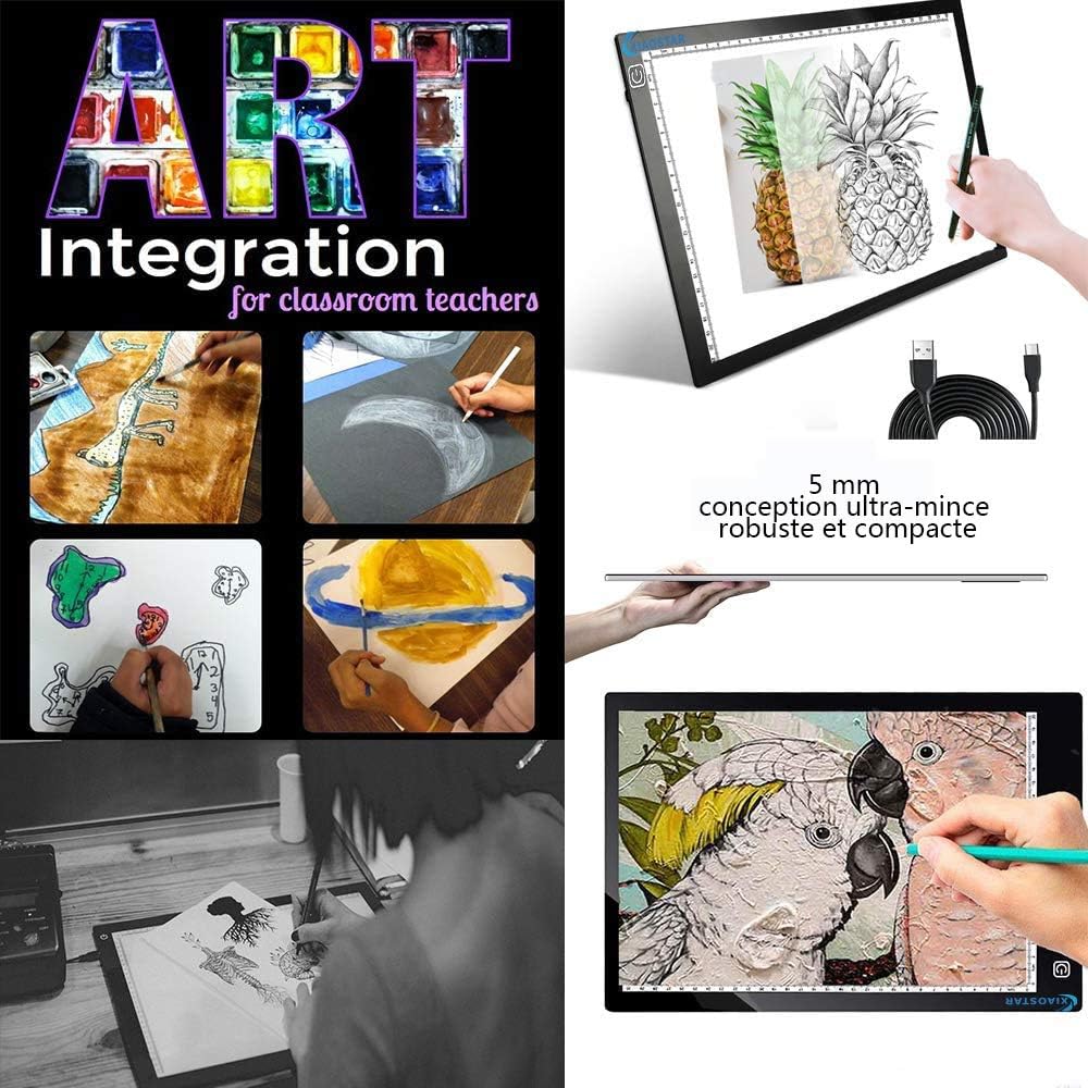 Light Box Drawing Pad, Tracing Board with Type-C Charge Cable and Brightness Adjustable for Artists, AnimationDrawing, Sketching, Animation, X-ray Viewing (FR-A4-P-black)