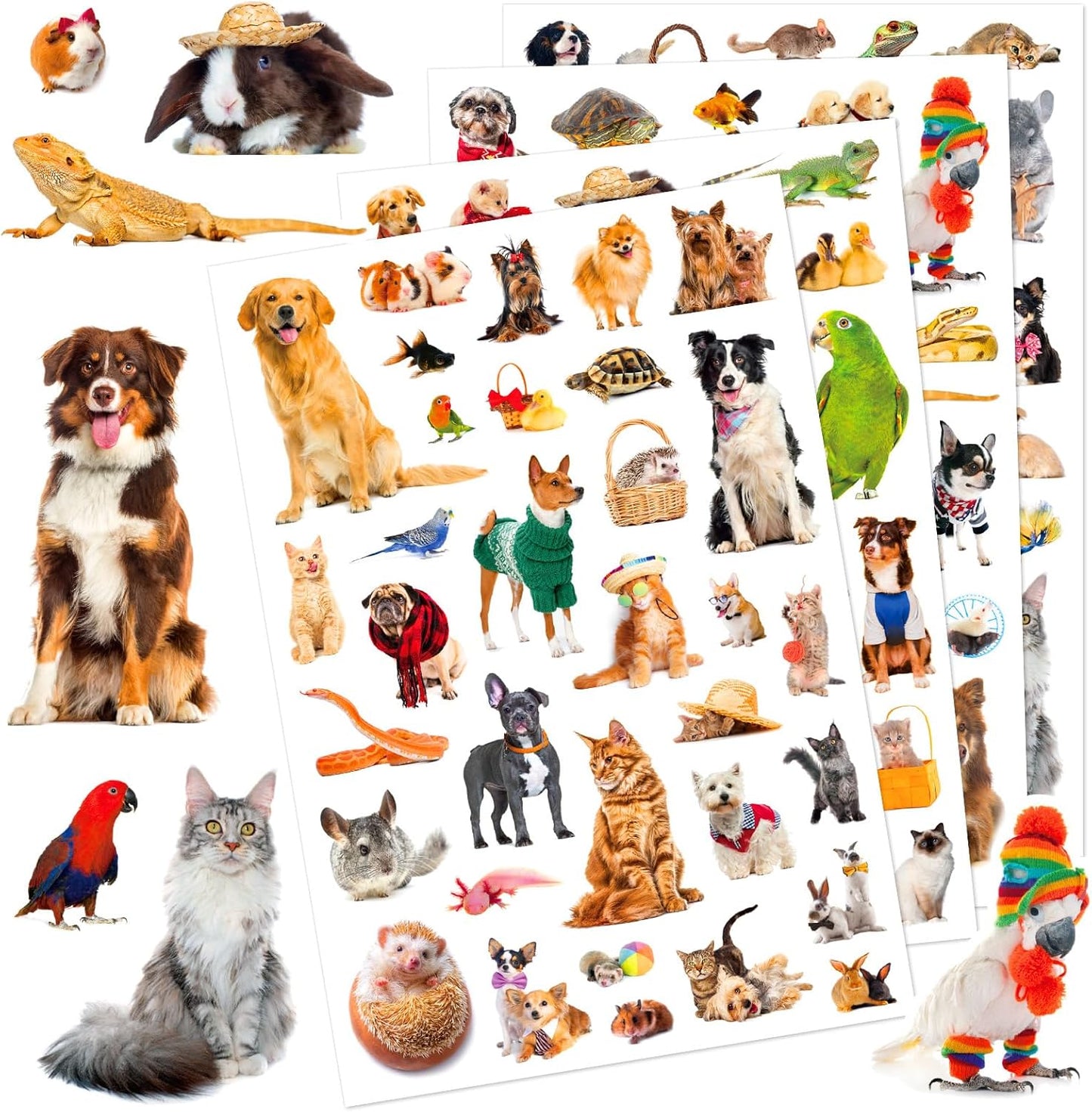 Pet Animals Stickers 660 Count Dog Cat Animal Pet Rabbit Parrot Fish Bird Reptiles Stickers Party Favors Gifts Sticky Decor for Scrapbook Calendar Planner Gift Wrap Decor