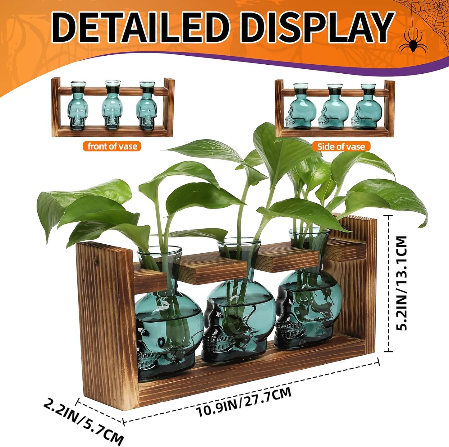 Plant Terrarium Propagation Stations Hydroponics Halloween Skull Planter Vase Skulls Decor with Wooden Stand Gife for Father