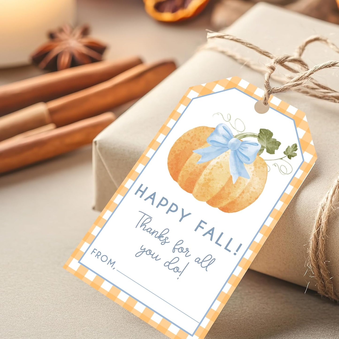50 Pcs Fall Gift Tags, 2.1"×3.5" Thank You Gift Tags for Party Favors, Pumpkin Happy Fall Thanksgiving Gifts Tags for Party Favor - B10