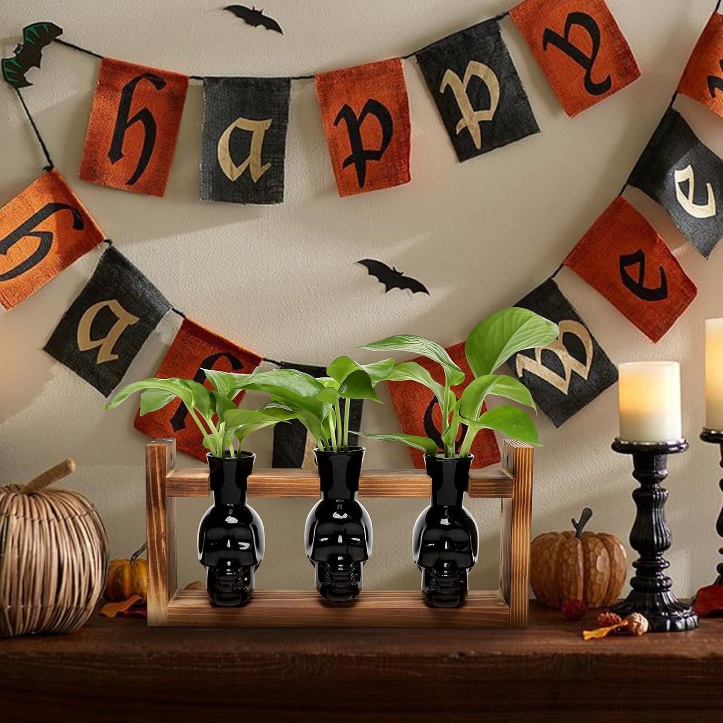 Plant Terrarium Propagation Stations Hydroponics Halloween Skull Planter Vase Skulls Decor with Wooden Stand Gife for Father