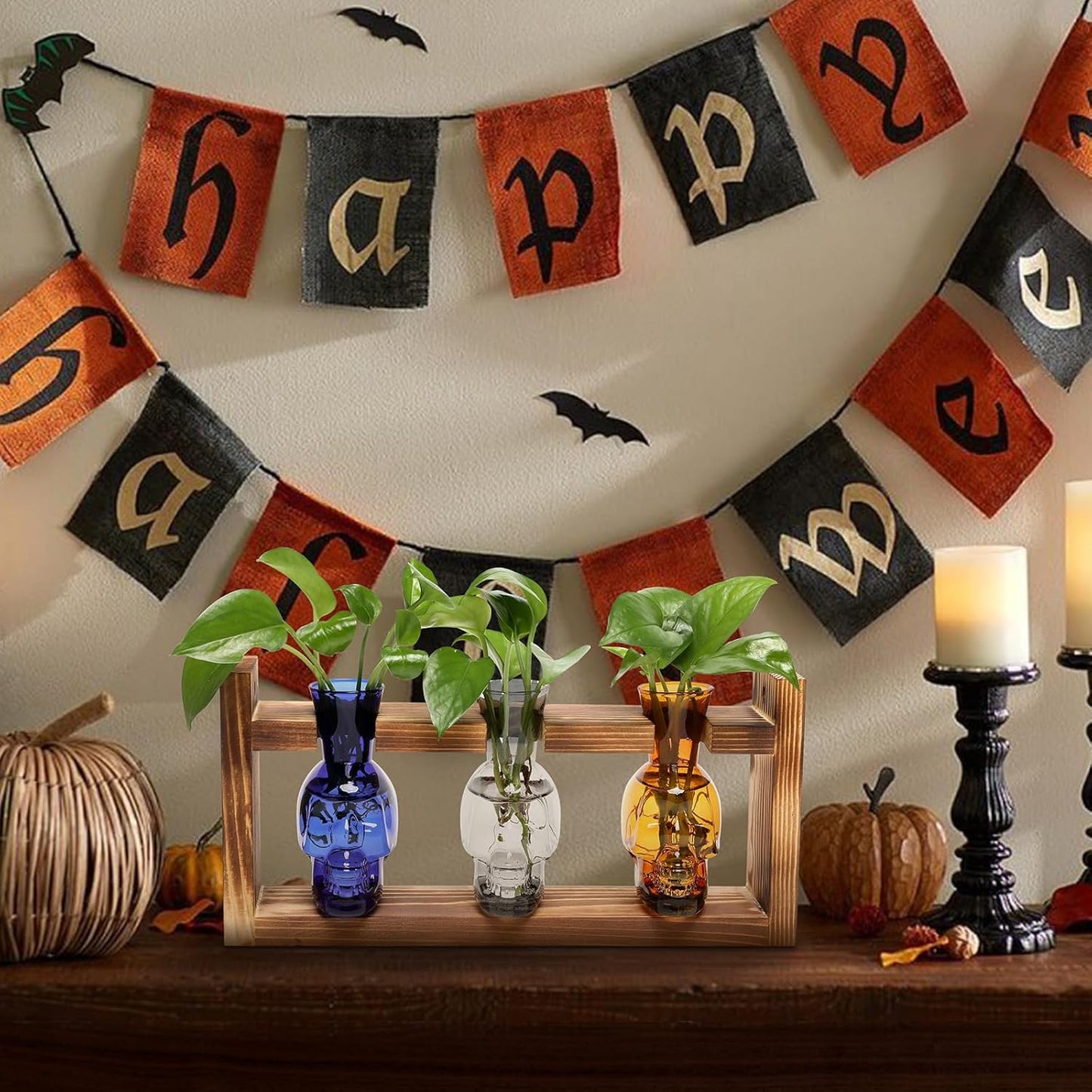 Plant Terrarium Propagation Stations Hydroponics Halloween Skull Planter Vase Skulls Decor with Wooden Stand Gift for Father