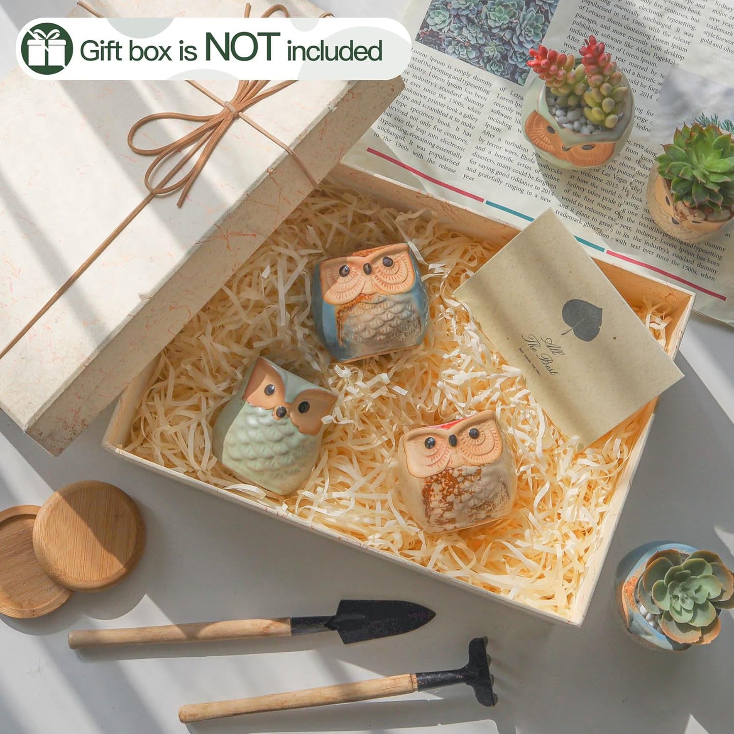 T4U 2.5 Inch Owl Ceramic Succulent Planter Pots with Drainage Hole Set of 6, Mini Cute Flower Pots Tiny Plant Holder Container Best for Home Office Garden Decoration Owl Gift Ideas