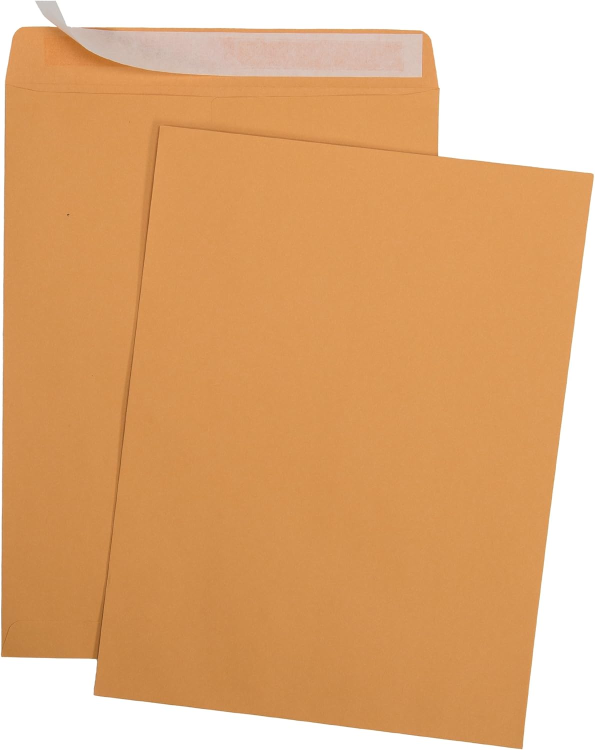 Aimoh 25 6x9 Self Seal Brown Kraft Catalog Envelopes - 28lb, 25 Count, Ultra Strong Quick-Seal, 6 x 9 inch (38369)