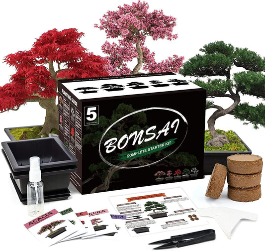 5 Bonsai Tree Kit Complete Plant Growing Tools, Grow in Pot Indoor Bonsai Tree Starter Kit, Great Home Gardening Potted Plants DIY Gift for Adults