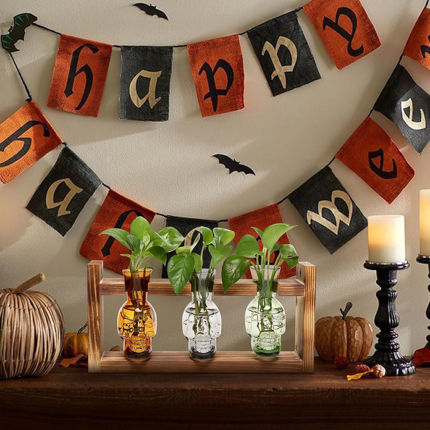 Plant Terrarium Propagation Stations Hydroponics Halloween Skull Planter Vase Skulls Decor with Wooden Stand Gift for Father