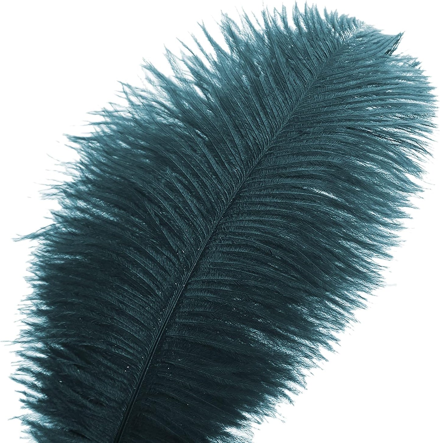 Ballinger Teal Ostrich Feathers Bulk - 24Pcs 12-14inch Feathers for Party Centerpieces,DIY Crafts and Home Decor