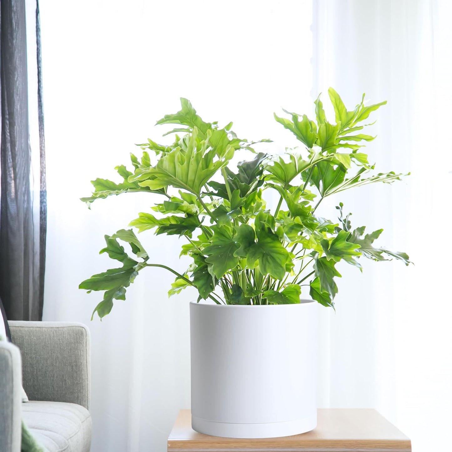 D'vine Dev 2 Pack 10 Inch Modern Plastic Plant Pots, Cylindrical Garden Planters for Plants with Drainage Holes and Saucers, White, 74-Z-N-1