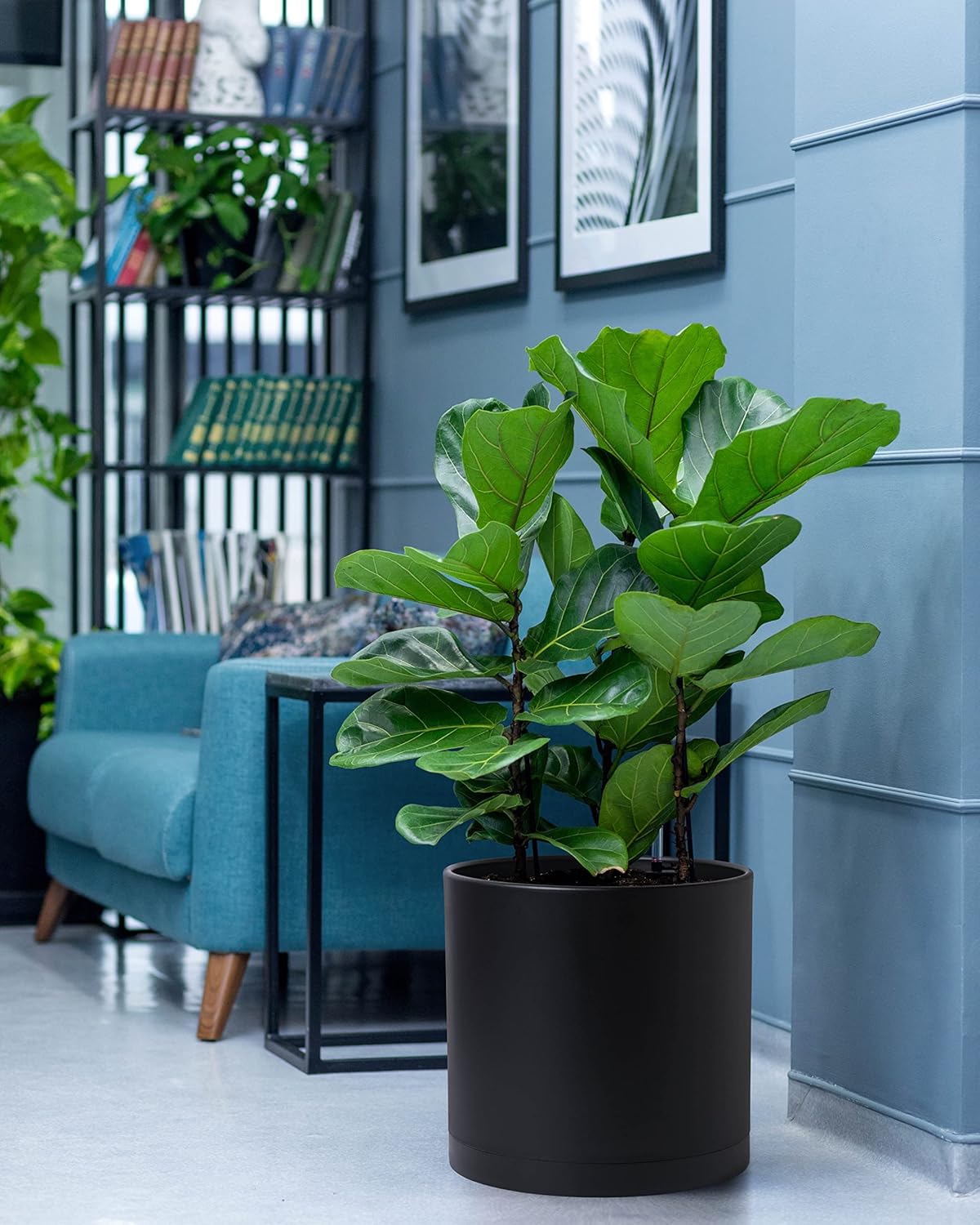 D'vine Dev 2 Pack 12 Inch Modern Plastic Plant Pots, Cylindrical Garden Planters for Plants with Drainage Holes and Saucers, Black, 74-Y-P-1