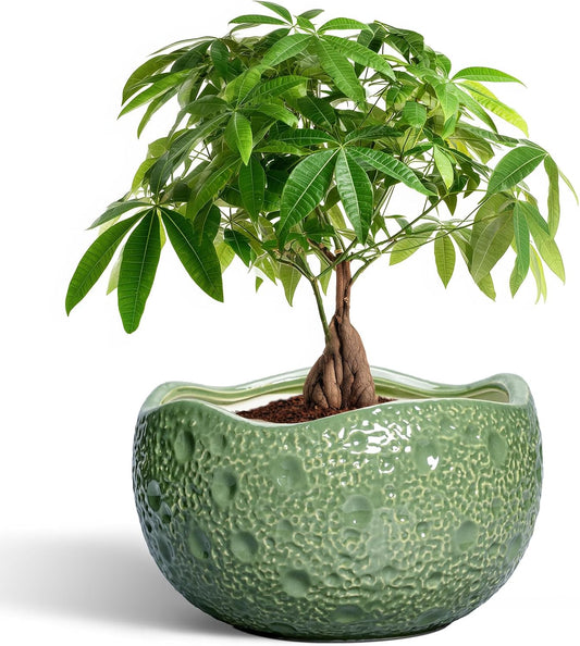 Ceramic Pots for Plants - 10 Inch Plant Pot for Indoor Outdoor, Round Bonsai Pots with Drainage Hole, Modern Planter, Decorative Flower Pot, Living Room Decor, Gifts for Plant Lovers, Green
