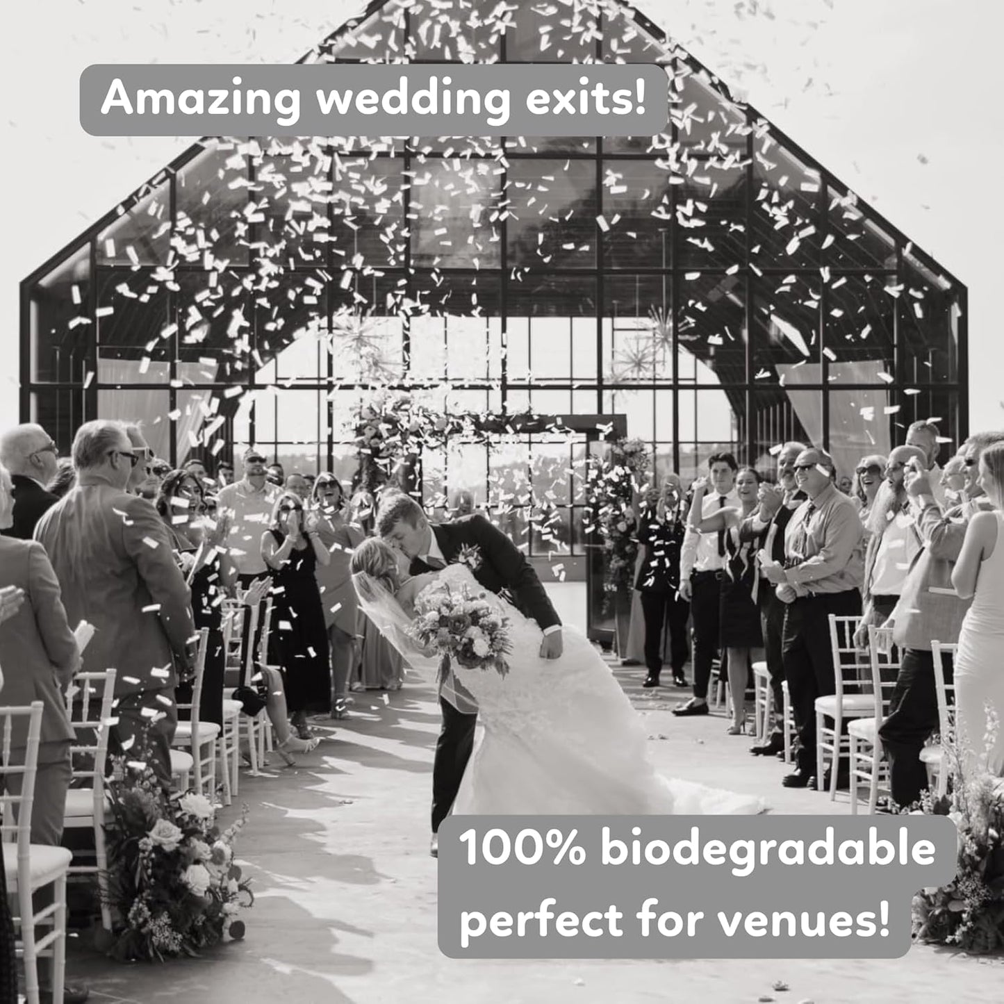 White Biodegradable Confetti Poppers Confetti Cannon | 6 Pack | Party Poppers Decoration for Wedding Exit, Graduation, Birthday | Wedding Party Favors | Launches 25 ft | 12 inch | TUR Party Supplies