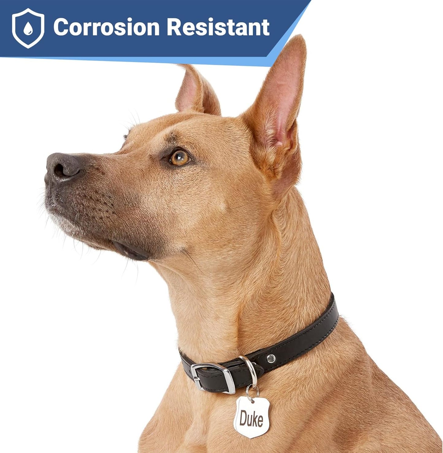 GoTags Stainless Steel Pet ID Tags, Personalized Dog Tags and Cat Tags, up to 8 Lines of Custom Text, Engraved on Both Sides, in Bone, Round, Heart, Bowtie and More (Ranger Badge, Small (Pack of 1))