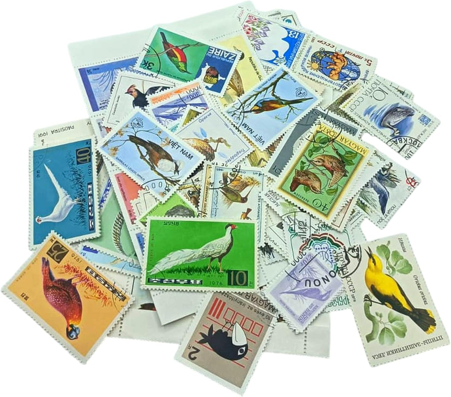 IMPACTO COLECCIONABLES – 100 Bird-Themed Stamps Collection with Included Album (5.5 x 7 x 0.4 in) | Enhance your philatelic collection with authentic postmarked stamps in a compact and elegant album