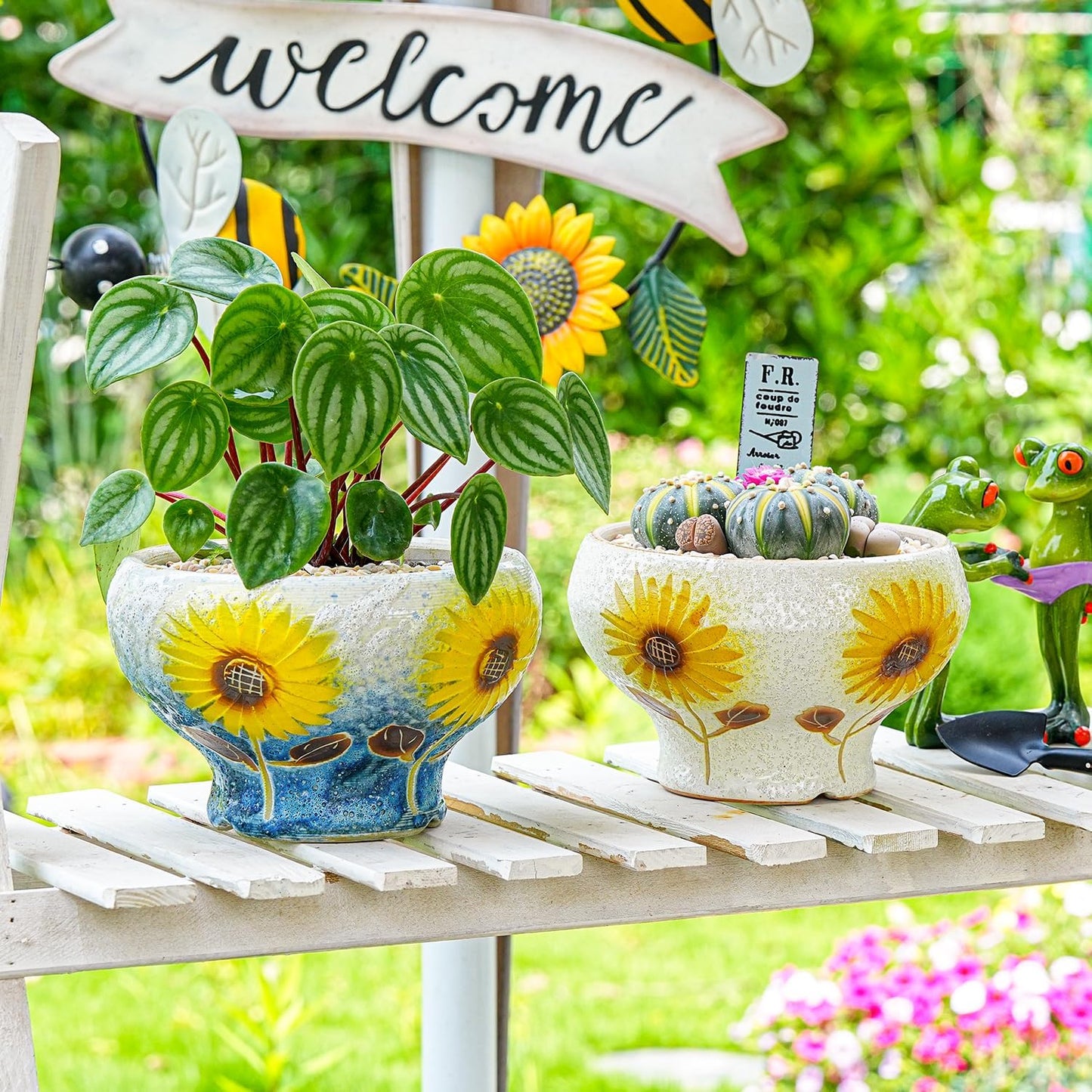 Sungmor Small Succulent Planters Set of 2, Beautiful Hand Crafted Ceramic Plant Pots Cute Cactus Pot, 6.5 Inch Flower Pots for Indoor Plants with Drainage, Desktop Windowsill Home Office Decor Pots