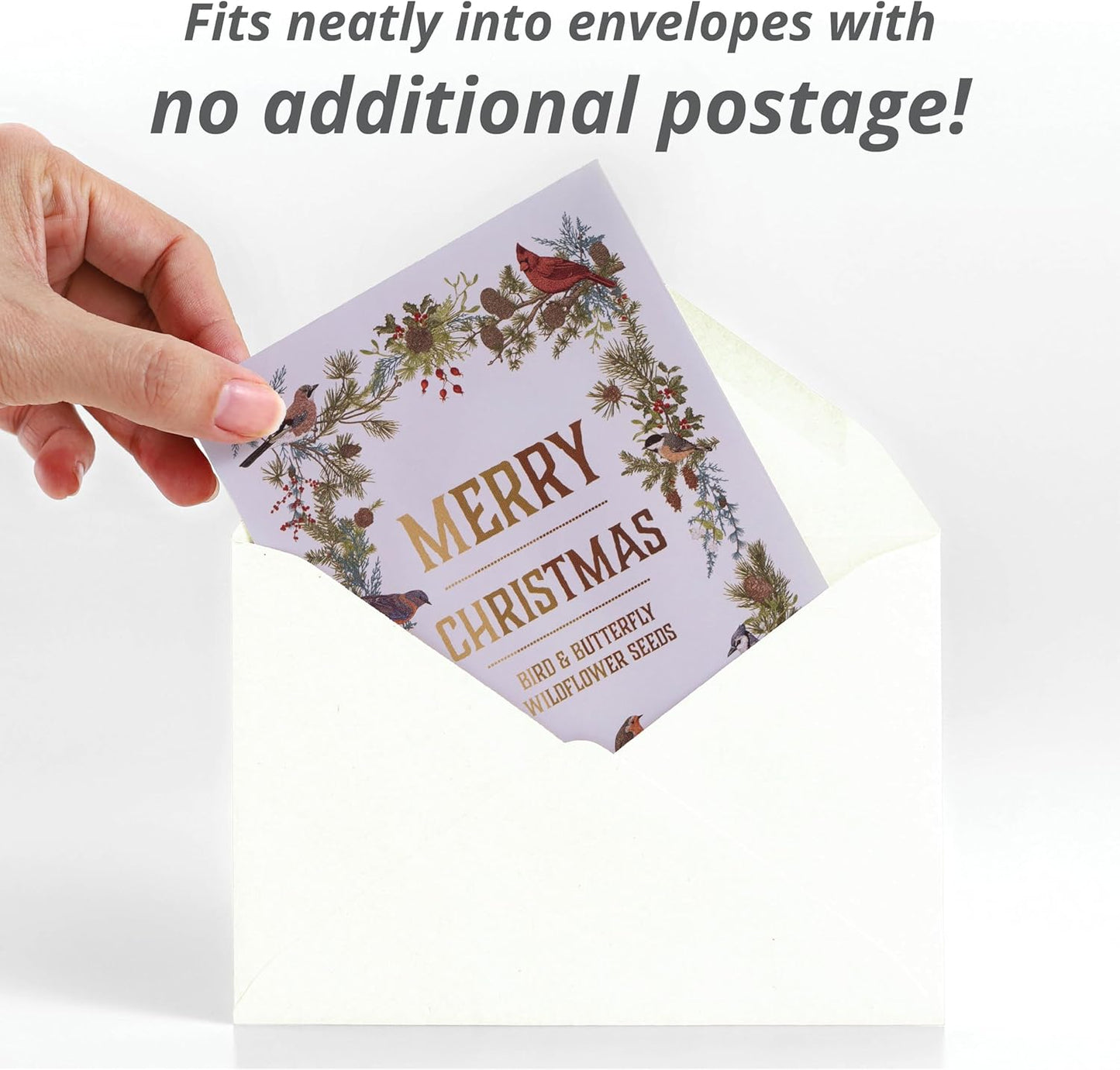 Bentley Seeds Co. Merry Christmas Wreath of Birds Holiday/Christmas Gift Tags | Non-GMO, Non Coated Bird & Butterfly Pollinator Wildflower Seed Mix | 25 Seed Packets