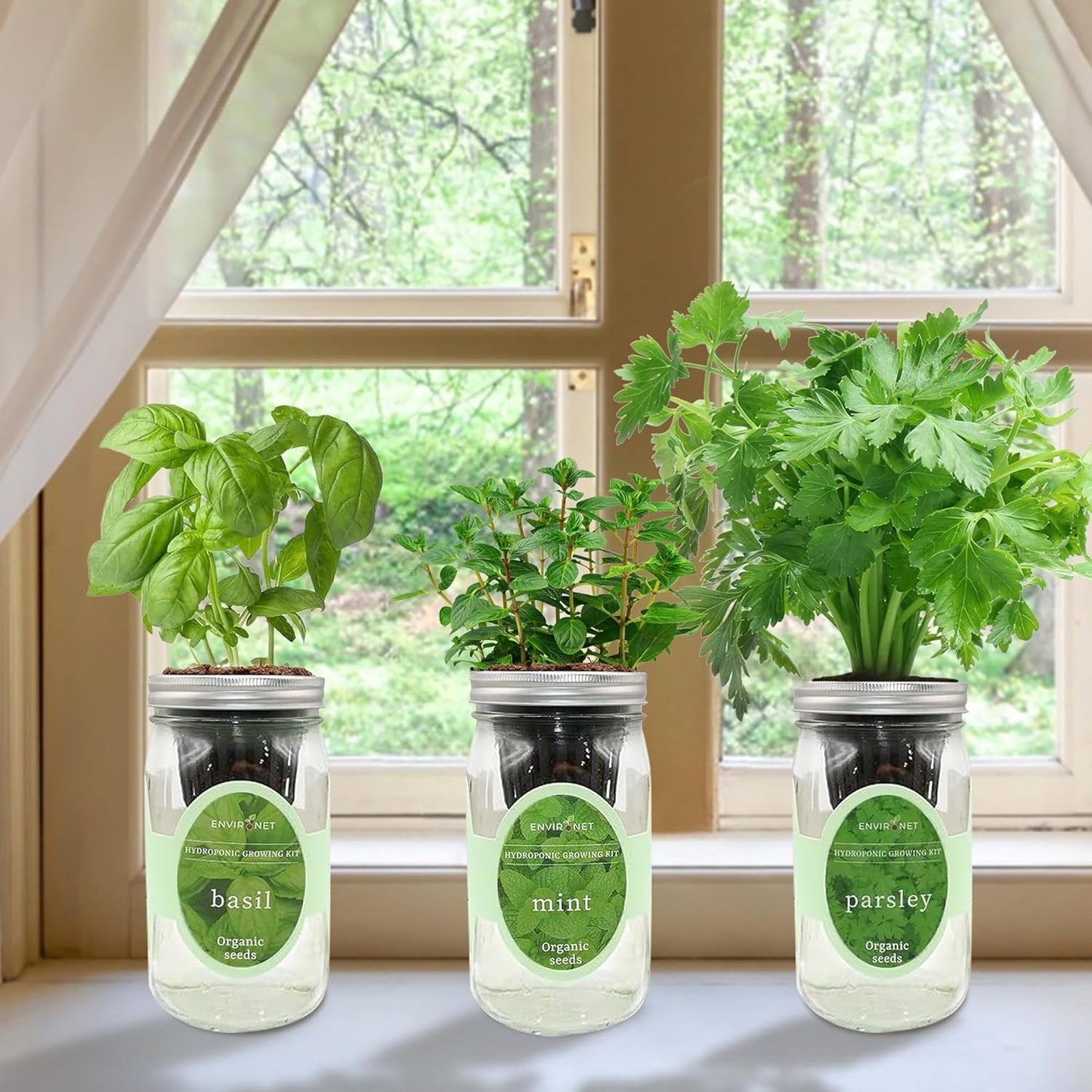 Hydroponic Herb Growing Kit Set, Self-Watering Mason Jar Herb Garden Starter Kit Indoor, Windowsill Herbs Garden, Grow Your Own Herbs from Organic Seeds (Basil, Mint, Parsley)