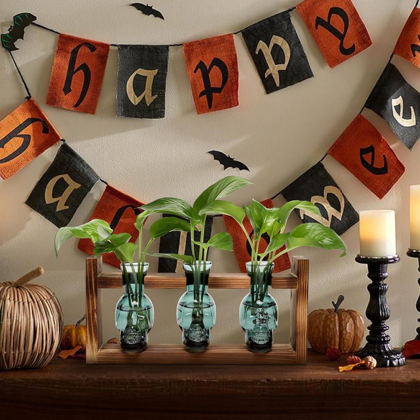 Plant Terrarium Propagation Stations Hydroponics Halloween Skull Planter Vase Skulls Decor with Wooden Stand Gife for Father