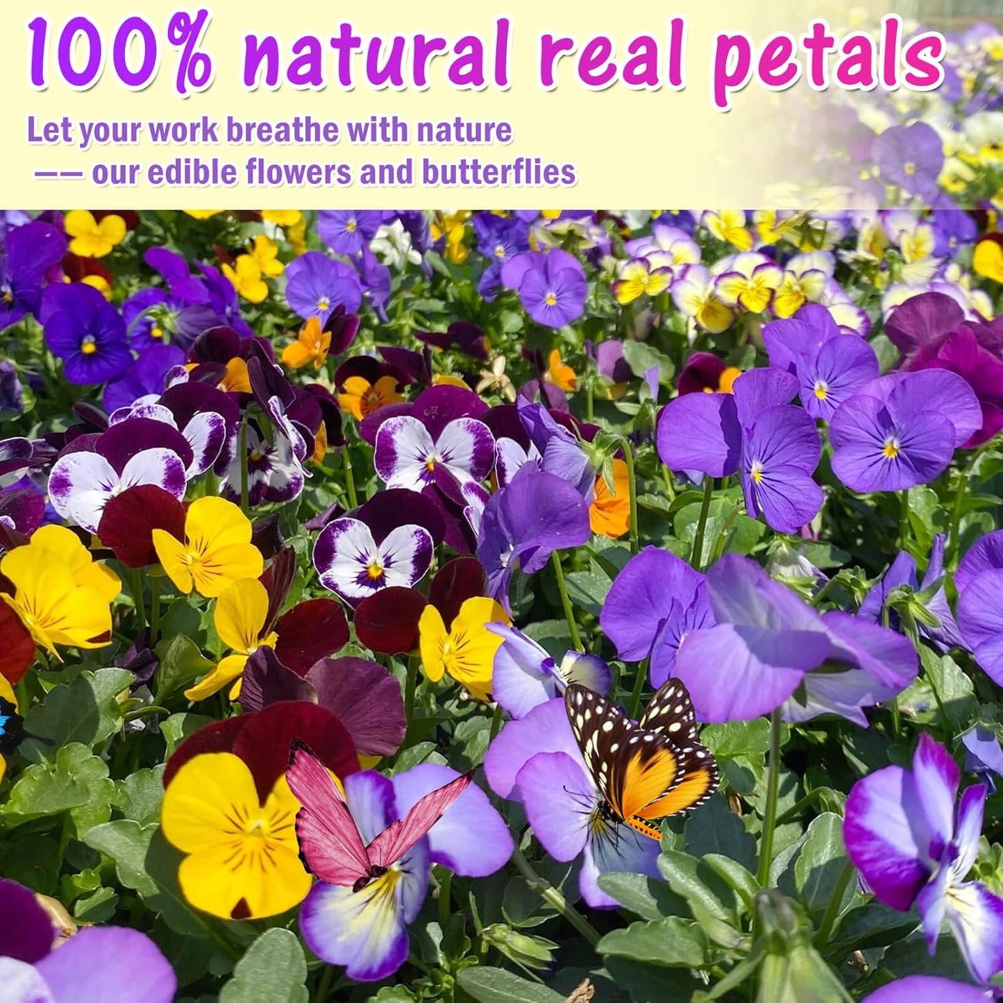 80 Pcs 8 Kinds Natural Real Dried Pressed Edible Flowers & Edible Butterflies for Cake Topper Decorating - Mix Viola Tricolor for Cupcake Toppers, Cocktails, Resin Jewelry Making, DIY Art Crafts