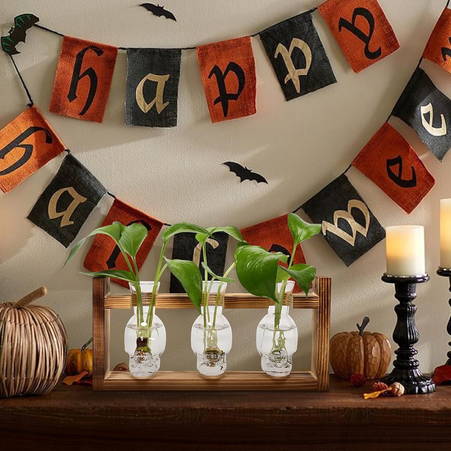 Plant Terrarium Propagation Stations Hydroponics Halloween Skull Planter Vase Skulls Decor with Wooden Stand Gife for Father