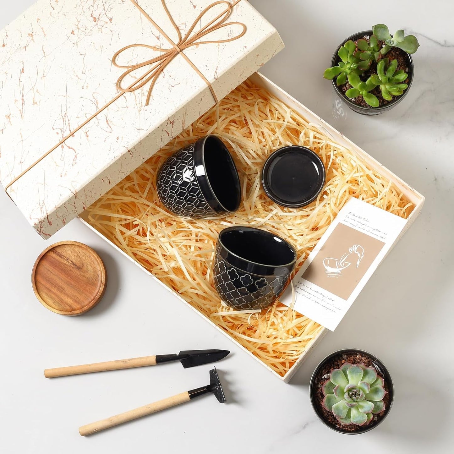 Sureasy Succulent Pots, 3.5 Inch Flower Pots for Indoor Plants, Small Plant Pots with Saucer & Drainage, Decorative Ceramic Planters for Succulent, Cactus, Set of 4, Black