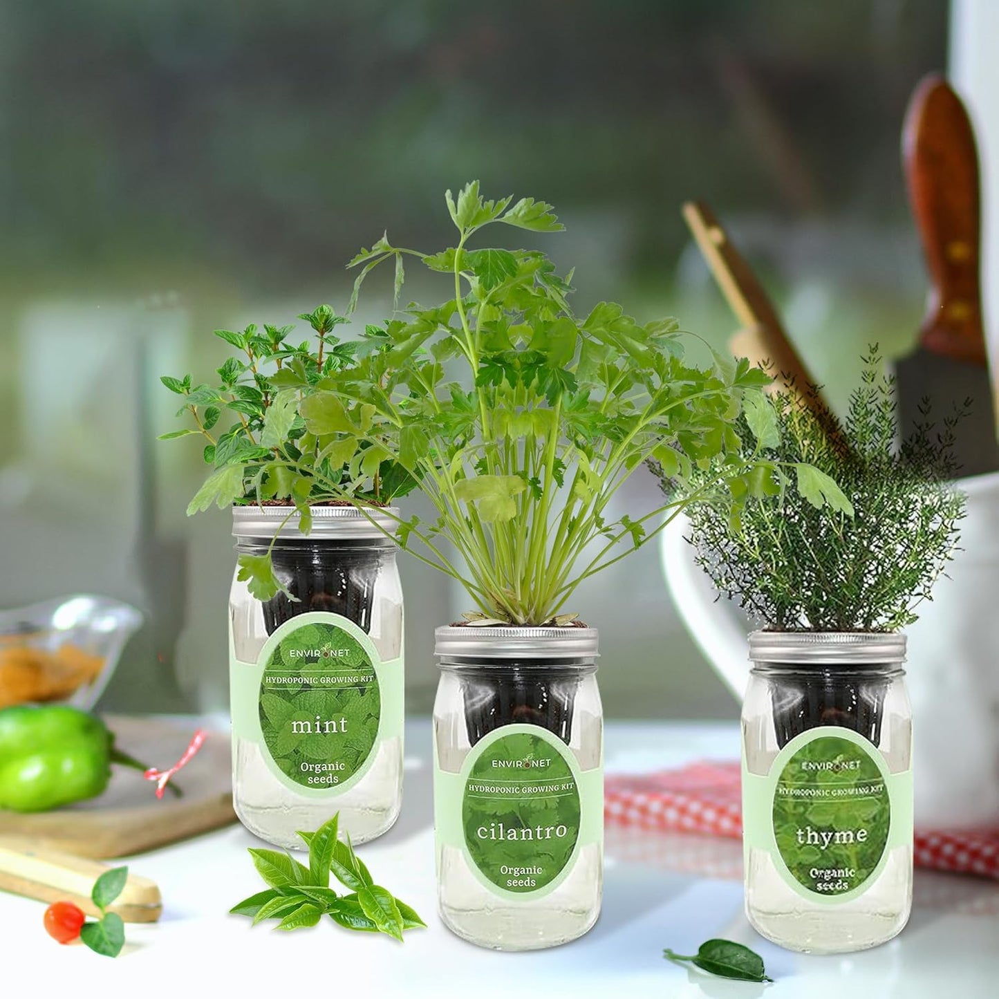 Hydroponic Growing Kit Set, Self-Watering Mason Jar Herb Garden Starter Kit Indoor, Window Herb Garden, Grow Your Own Herbs from Organic Seeds (Mint, Cilantro and Thyme)