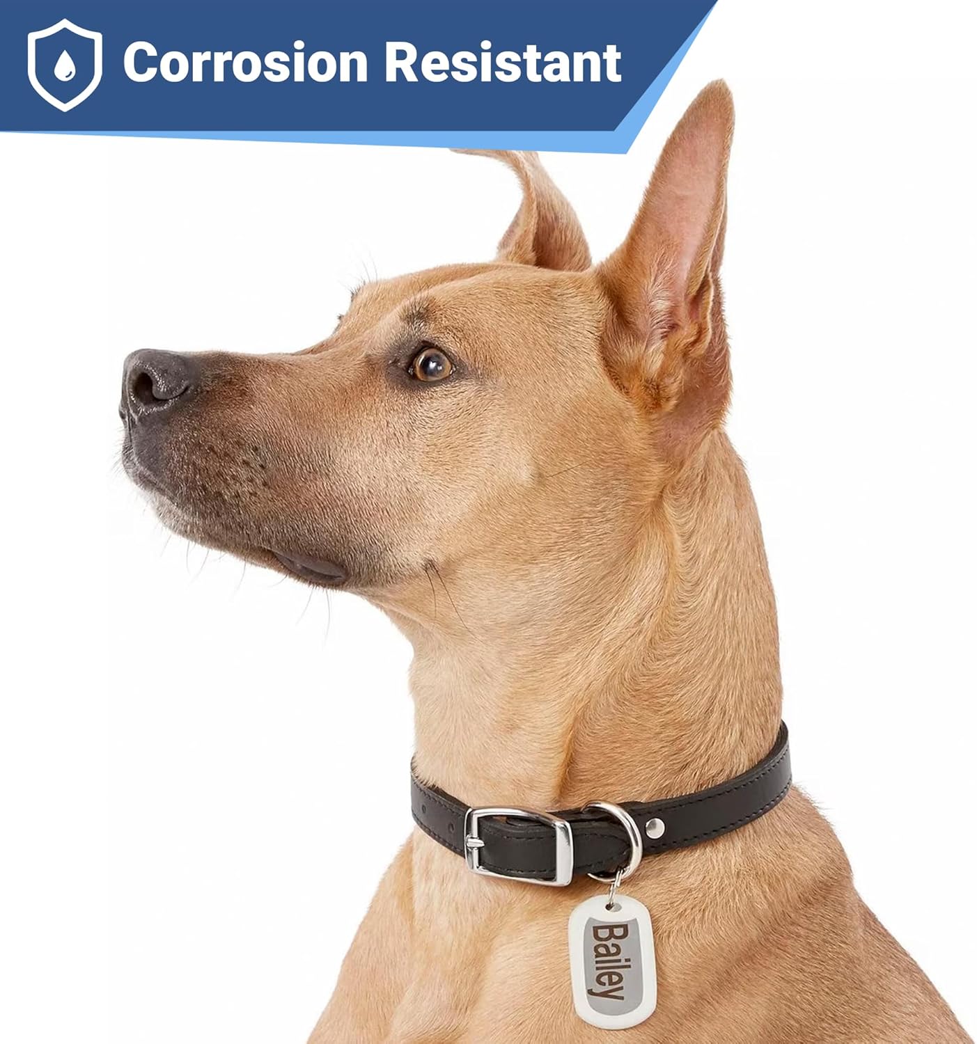 GoTags Stainless Steel Pet ID Tags, Personalized Dog Tags and Cat Tags, up to 8 Lines of Custom Text, Engraved on Both Sides, in Bone, Round, Heart, Bowtie and More (Rectangle, Regular (Pack of 1))