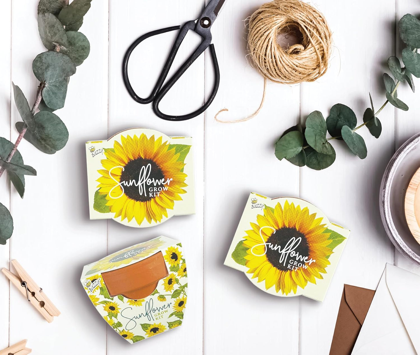 BUZZY Seeds All-in-One Sunflower Mini Terracotta Pot Grow Kits 12-Pack, Indoor Mini Garden Seed Starter for All Ages, Grow Your Own Vibrant Flowers, DIY Plant Project, Gardening Gift