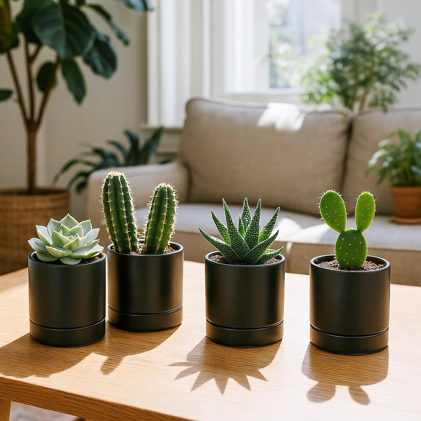 D'vine Dev Set of 4 Small Ceramic Plant Pots, 4.7 Inch Succulent Planter Pot for Plants with Drainage Hole and Saucer, Black, 94-X-B-2