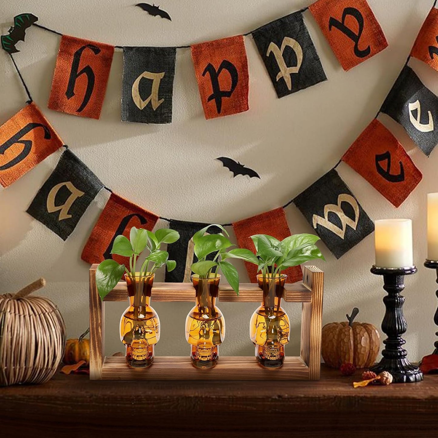 Plant Terrarium Propagation Stations Hydroponics Halloween Skull Planter Vase Skulls Decor with Wooden Stand Gift for Father