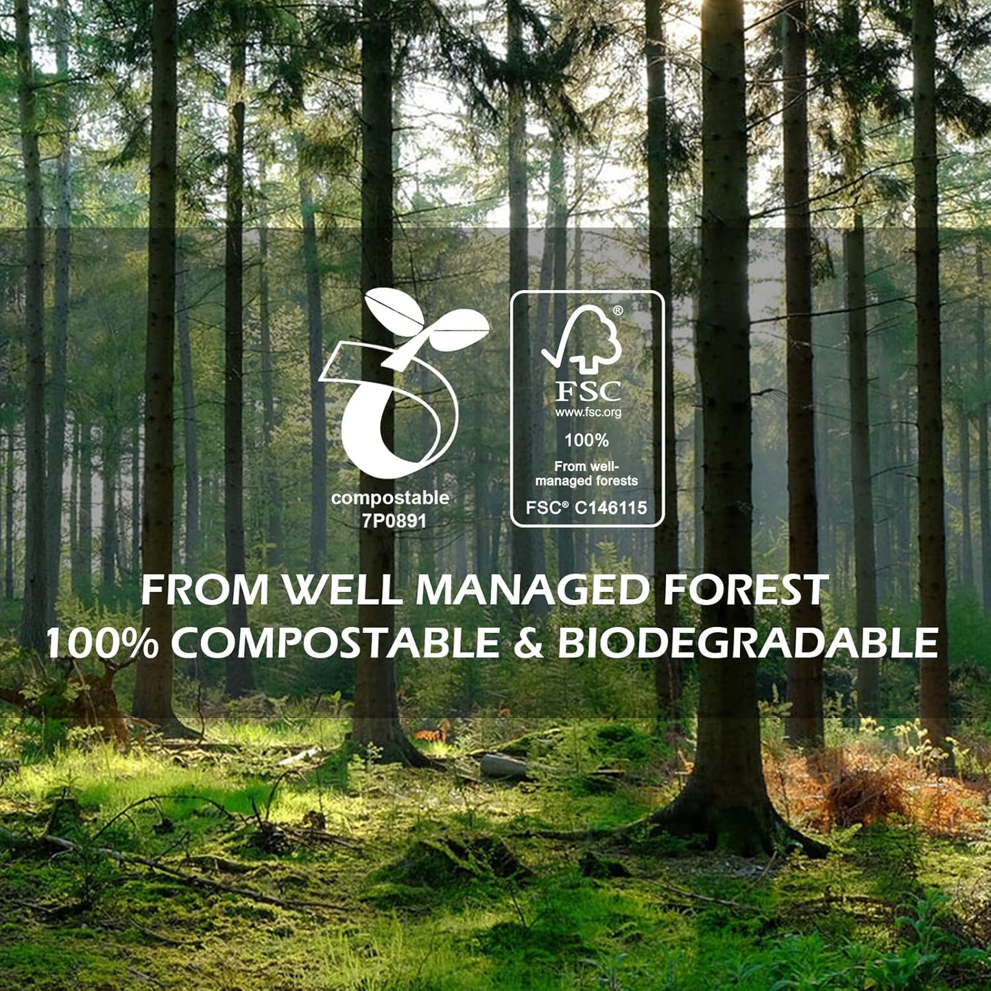 Disposable Paper Drinking Straws Bulk, Individually Wrapped - 7.75 Inch, Assorted Colors (Case of 1000)