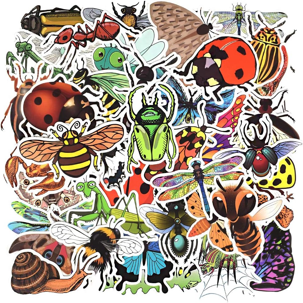 QTL Bug Stickers for Kids Insect Stickers for Water Bottle Bug Party Favors Gifts for Boys Girls Waterproof Vinyl Pack 50Pcs