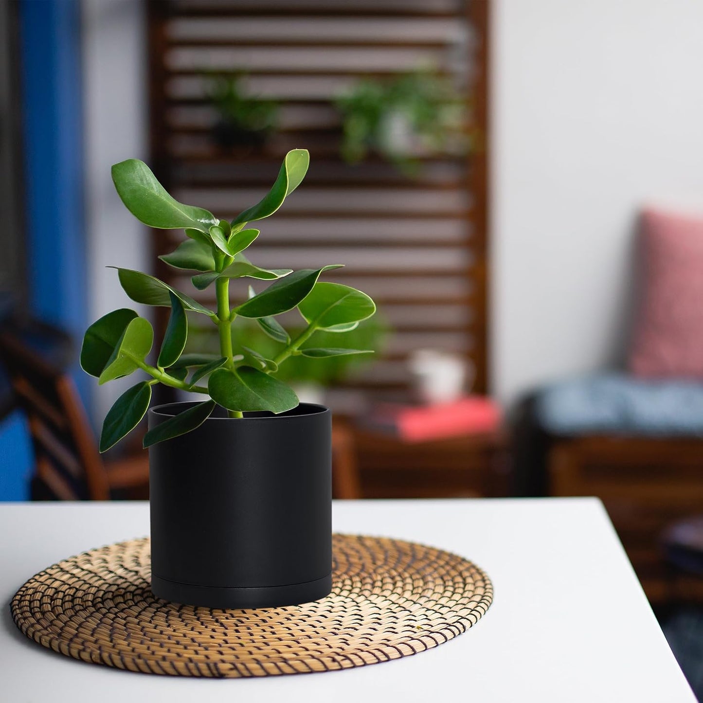 D'vine Dev 6 Pack 5 Inch Modern Plastic Plant Pots, Small Garden Planters for Plant with Drainage Holes and Saucers, Black Color, 74-Y-G-3