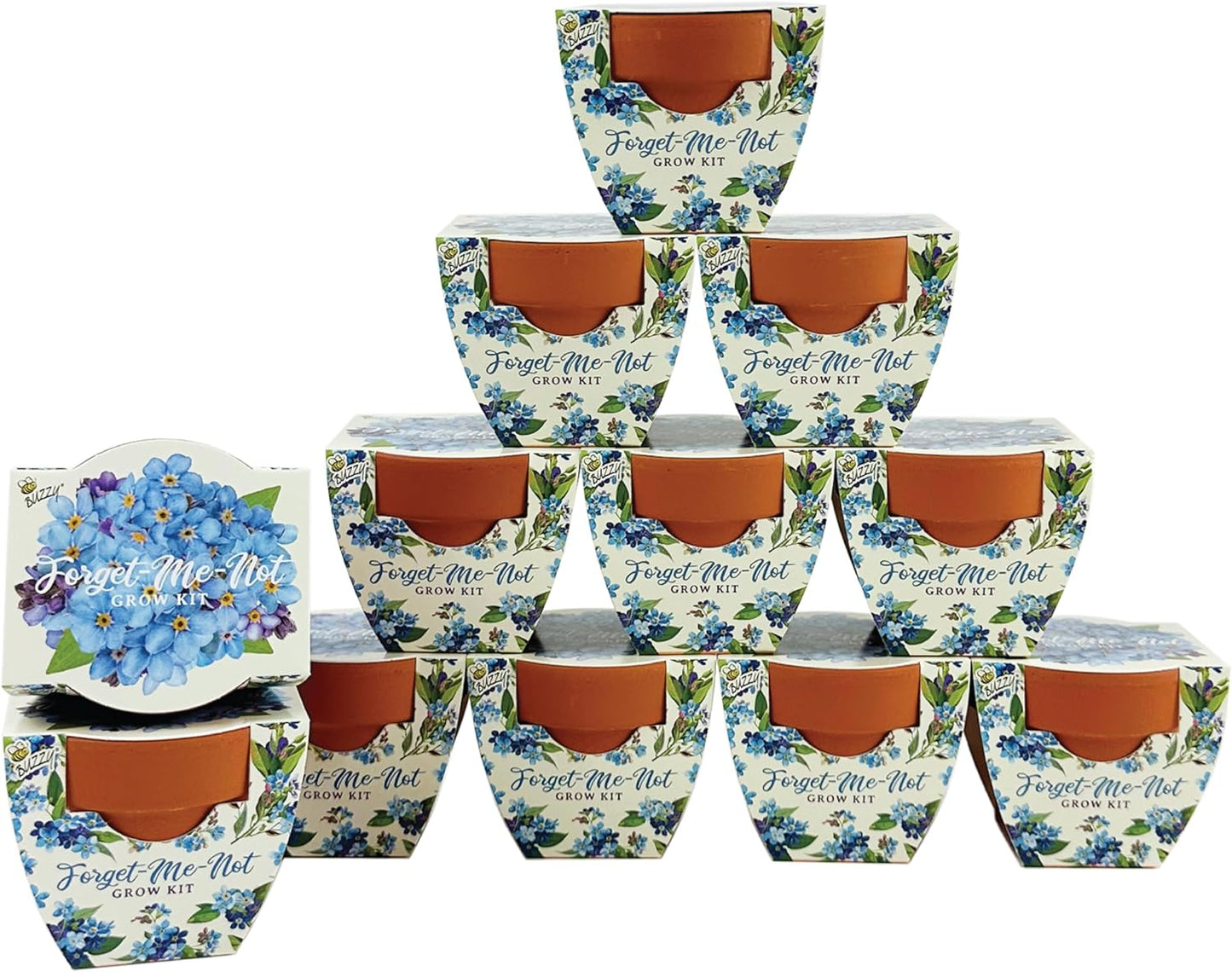 BUZZY Seeds Mini Terracotta Pots 12-Pack Daydream Forget-Me-Not Flowers, All-in-One Seed Starter Kit for Kids and Adults, Indoor Outdoor Gardening Gift, Wedding Favors, Seeds for Planting Flowers