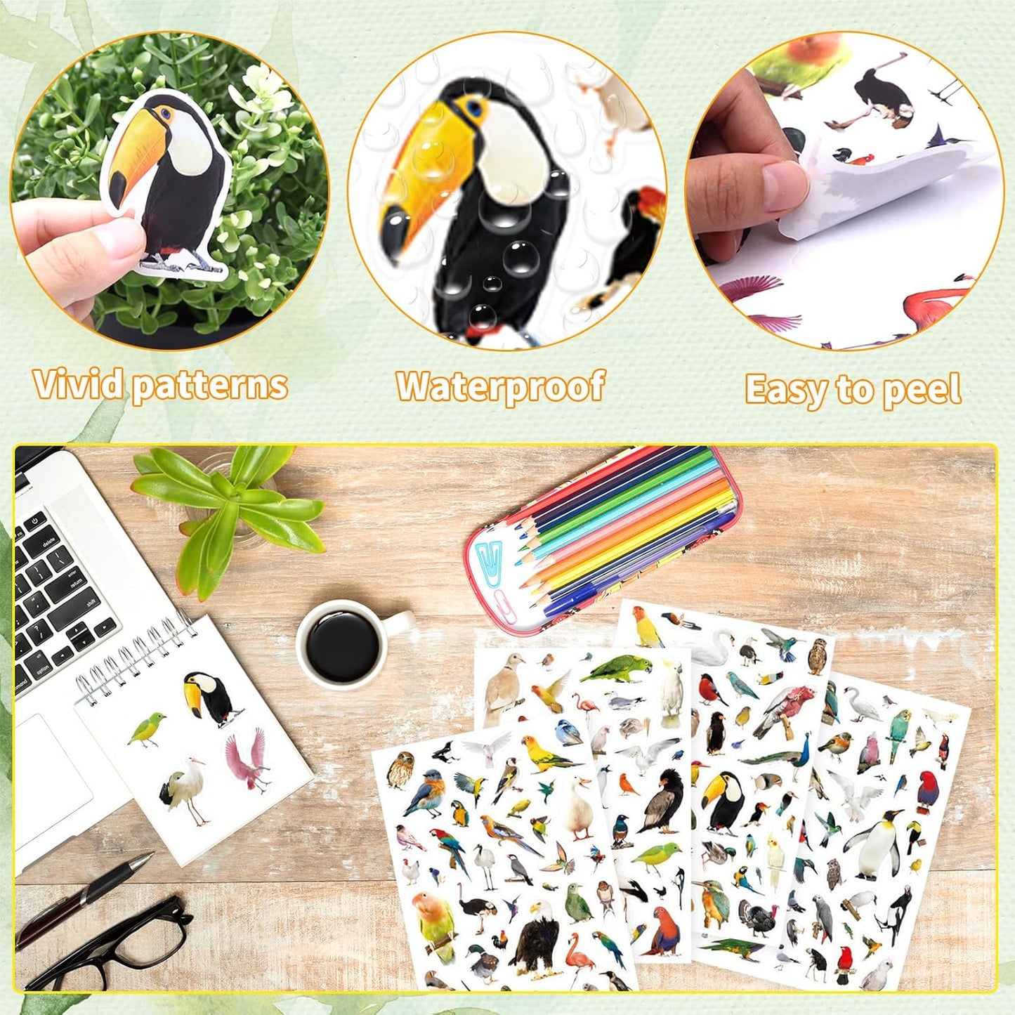Bird Stickers 850 Count Tropical Bird Parrot Flamingo Peacock Hummingbirds Stickers Animal Party Favors Gifts Sticky Decor for Scrapbook Calendar Planner Gift Wrap Decor