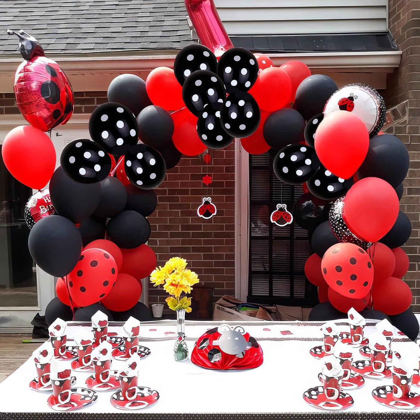 Ladybug Balloons, Red Black Polka Dots Balloons Matte Black and Red Balloon Black and White Polka Dot Latex Balloon for Kids Adults Ladybug Birthday Jungle Party Wedding Baby Shower Graduation