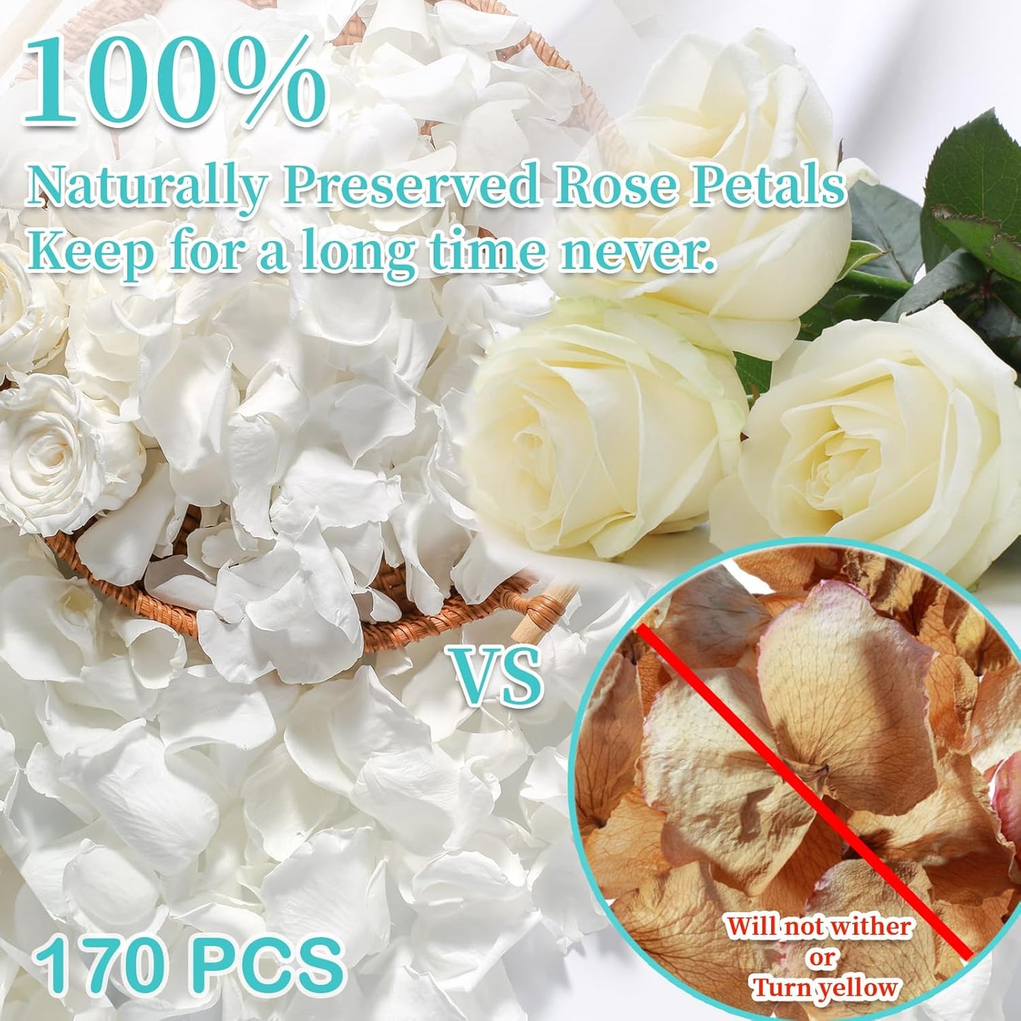 Real Dried Ivory White Rose Petals, Frozen Preserved Petals for, Wedding Party Decorations, Bio Confetti, Table Centerpieces, Bridal Shower, 1.58 oz / 45 g