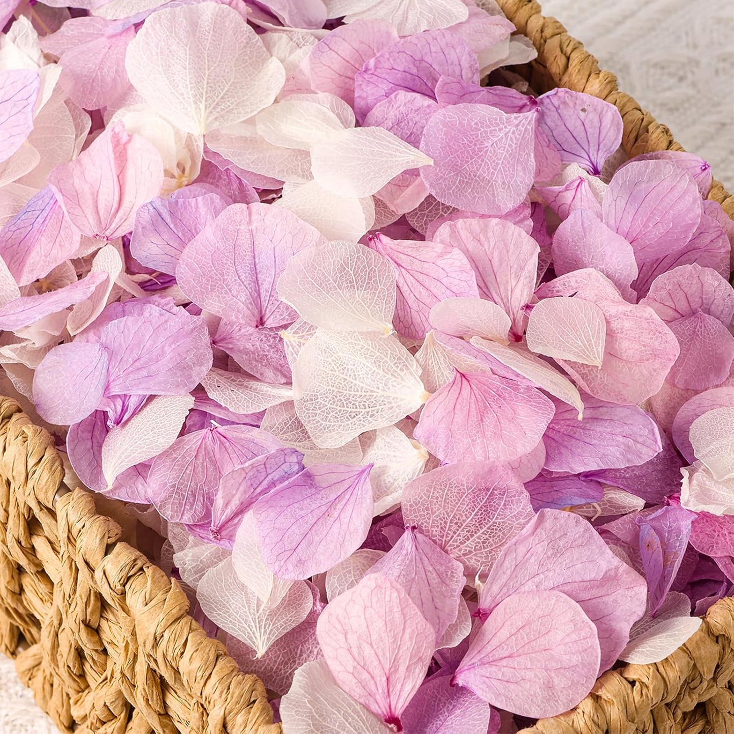 2500 PCS Purple and White Hydrangea Petals 100% Natural Real Flower Petals for Wedding Aisle, Flower Girl Scattering Flowers, Will You Marry Me, Romantic Night, Proposal, Anniversary, Special Night