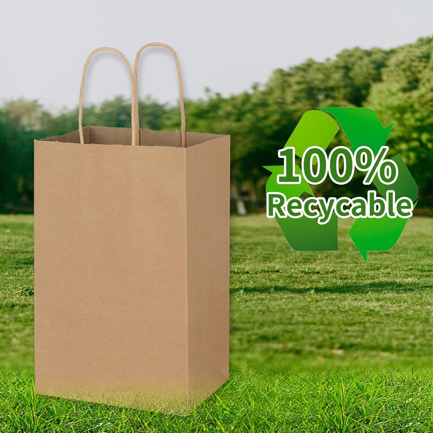 Toovip 50 Pack 5.25x3.25x8.25 Inch Small Plain Brown Kraft Paper Bags with Handles Bulk, Gift Bags for Favor Grocery Retail Party Birthday Shopping Business Goody Craft Merchandise Take Out Sacks